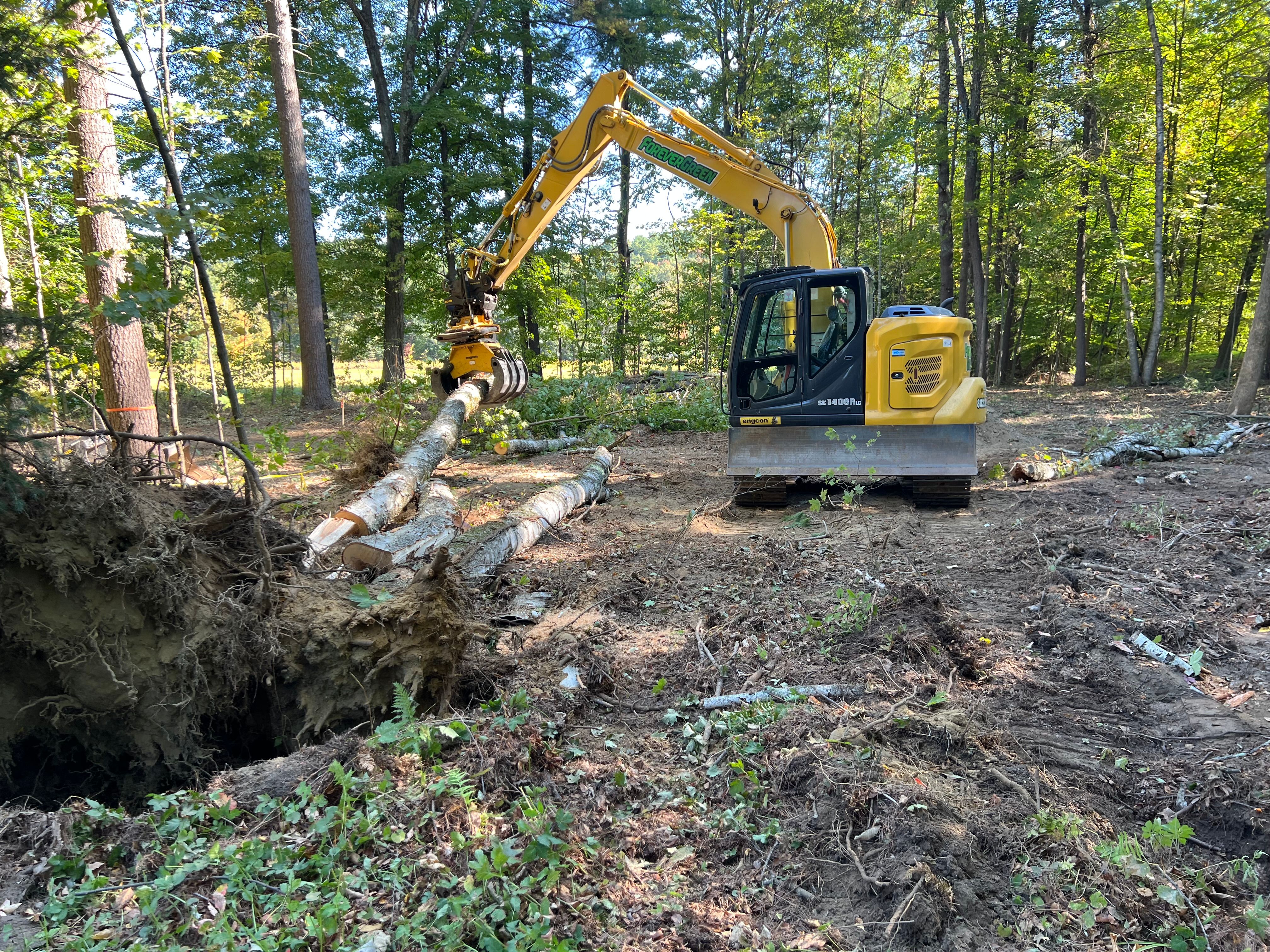  for Forever Green Landscaping in Poultney, VT