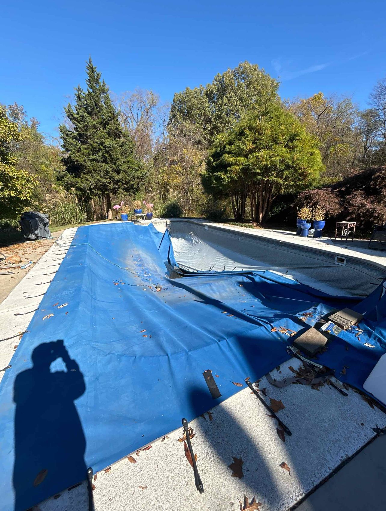  for CW Pool Care in Owensboro, KY
