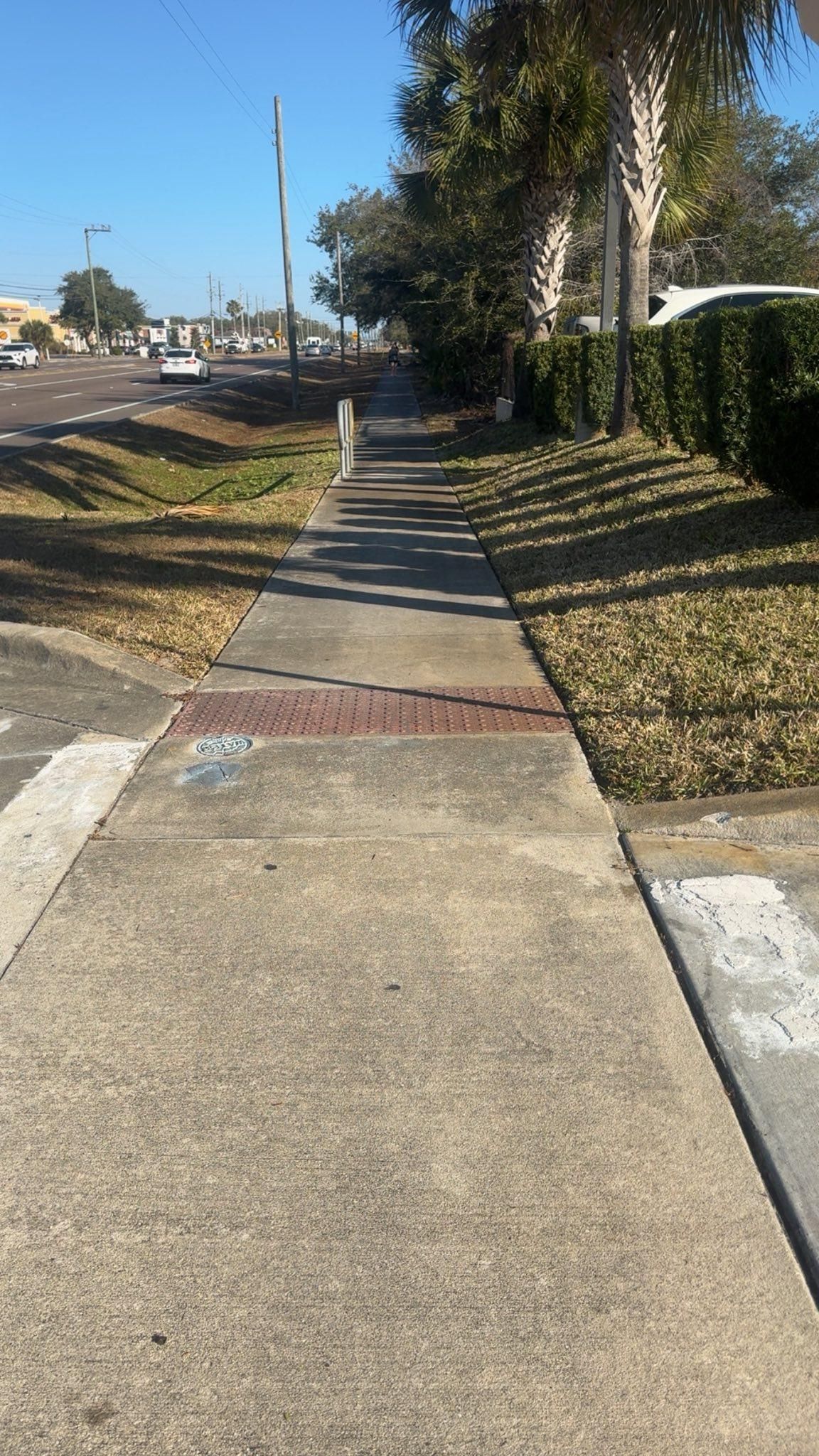  for Space Coast Property Maintenance and Management LLC in Melbourne, FL