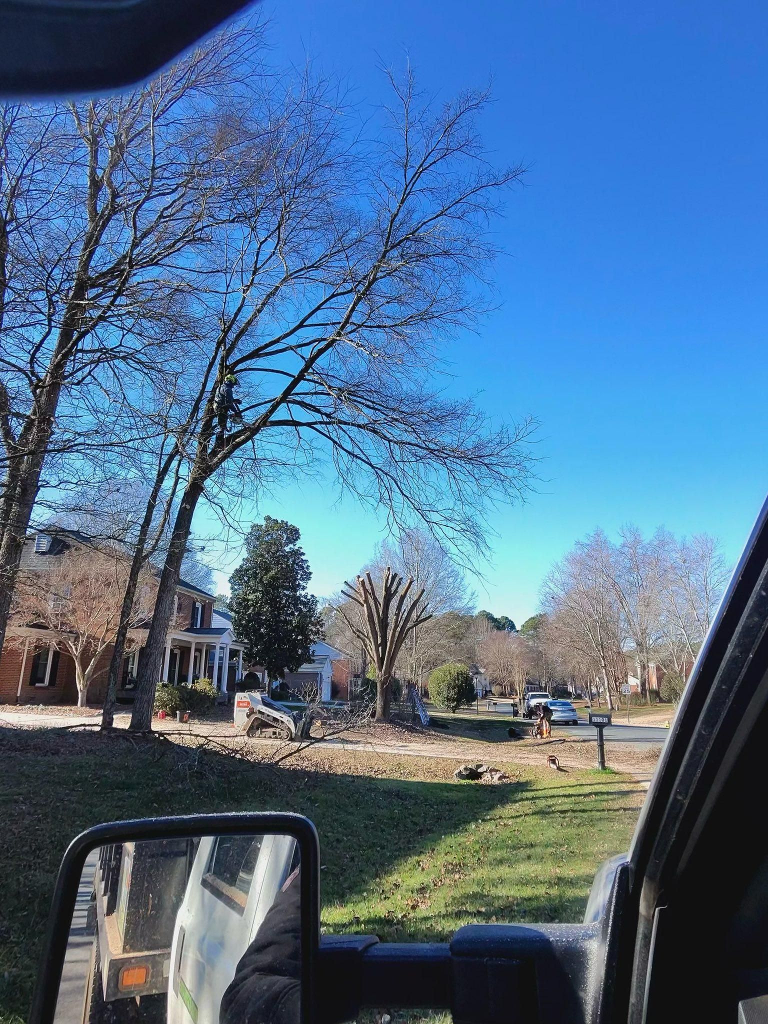  for Pedro's Tree Removal in Charlotte, NC