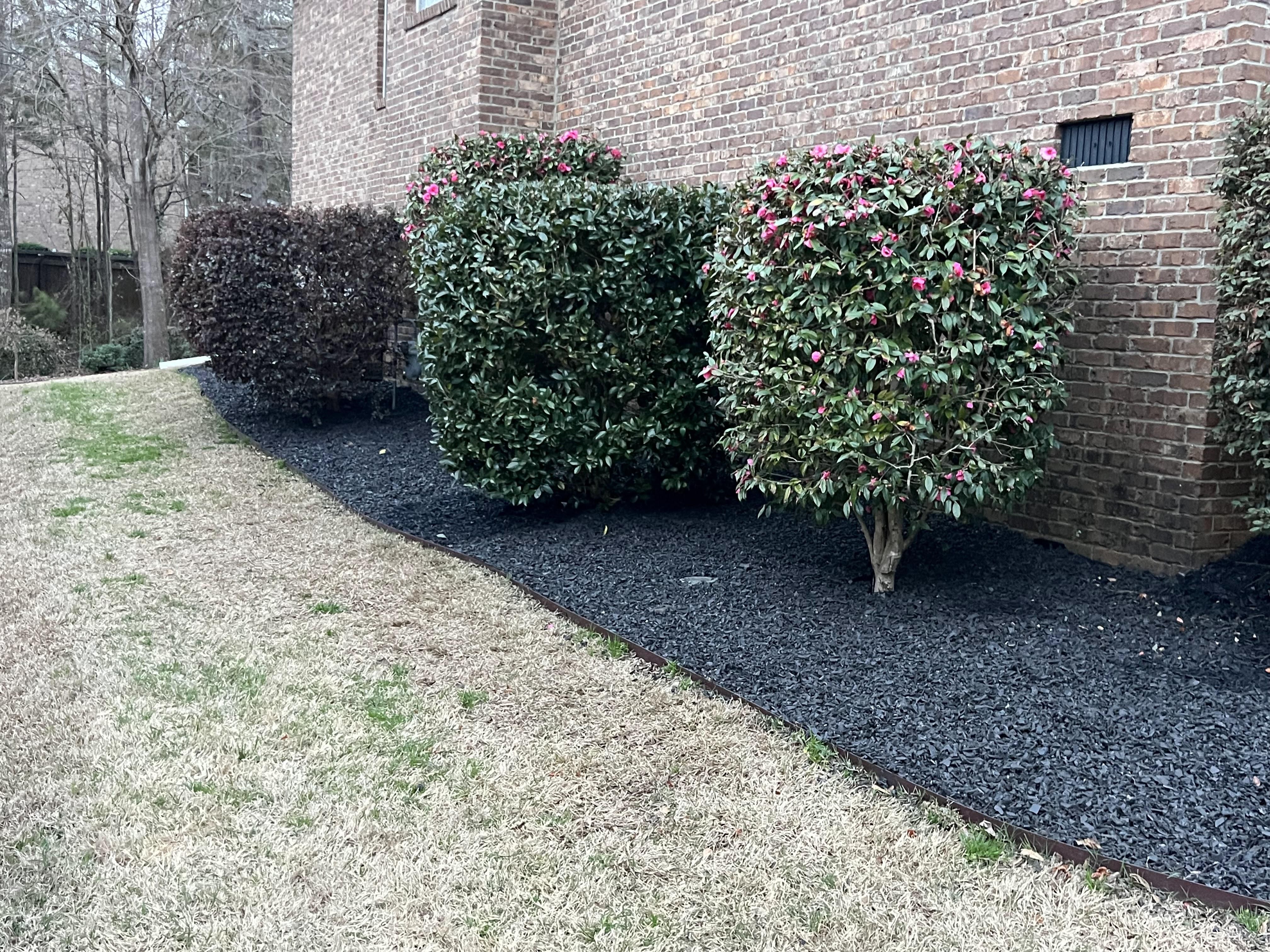  for Shang's Landscaping Service in Columbia, South Carolina
