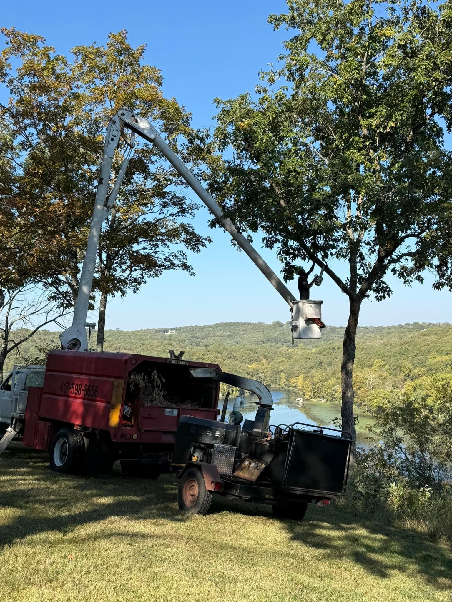  for H n H Tree Service in Taneyville, MO