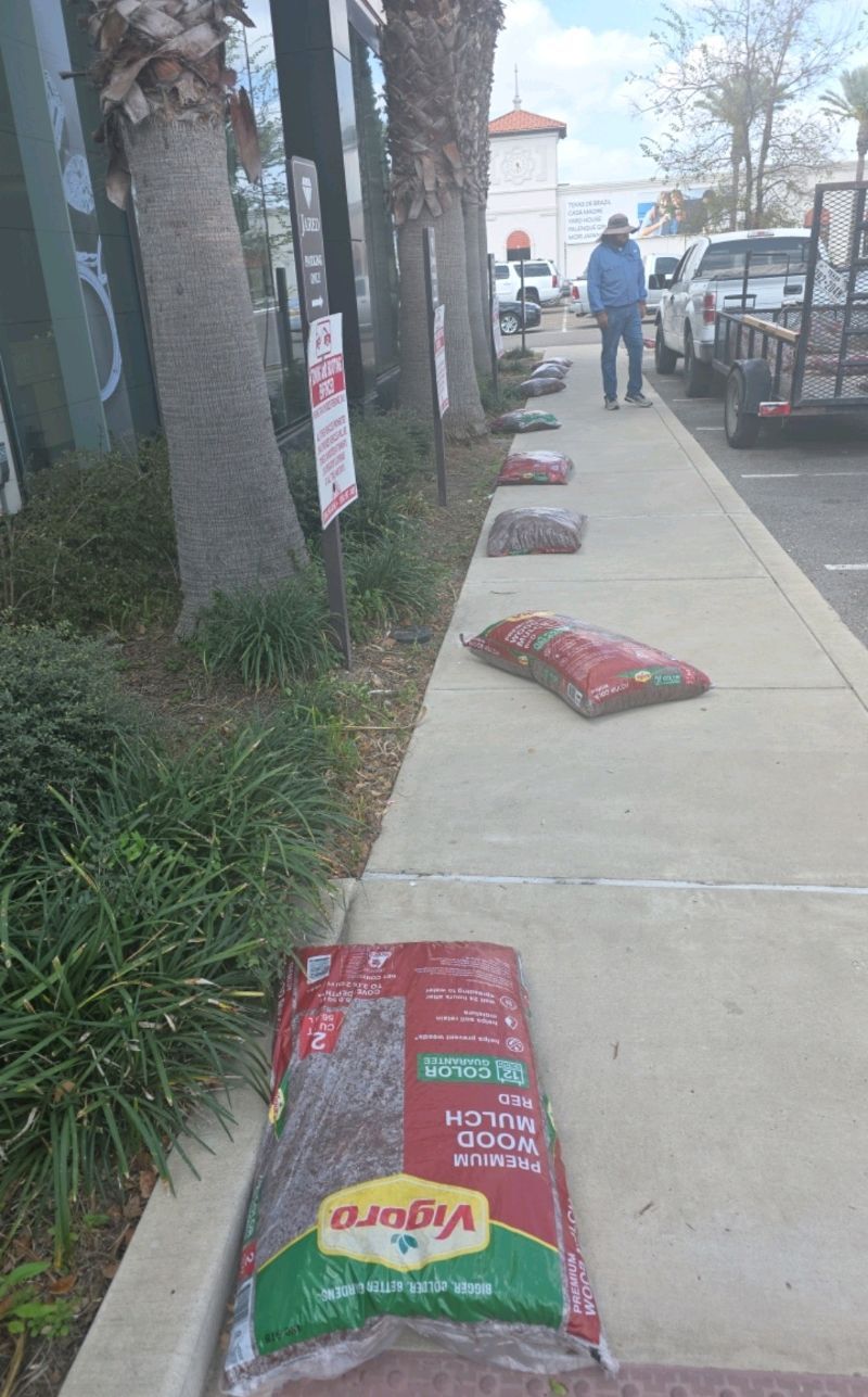  for Pro Lawn Care RGV in McAllen, TX