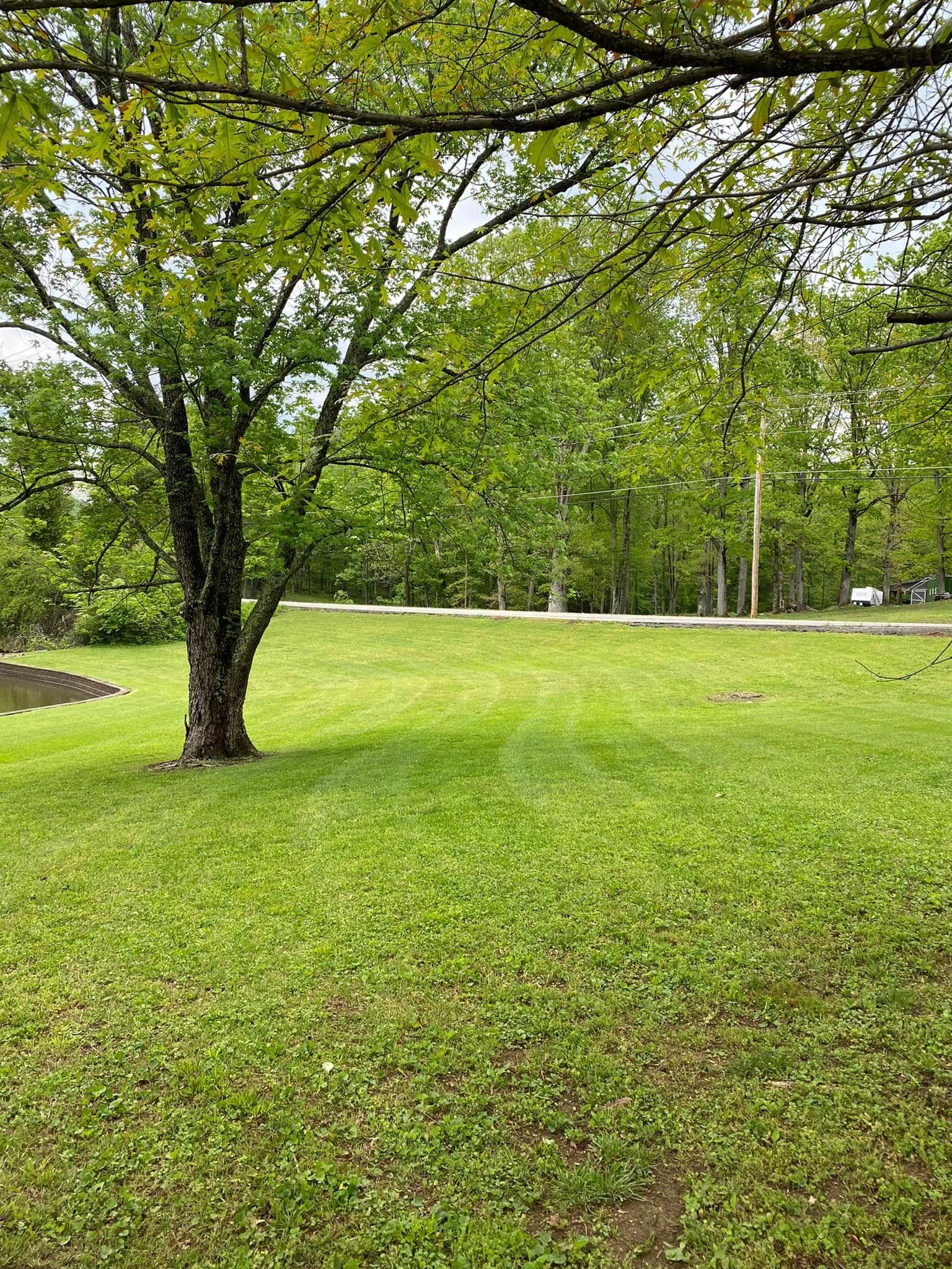  for Leal’s Lawn Service and Excavation in Dayton, TN