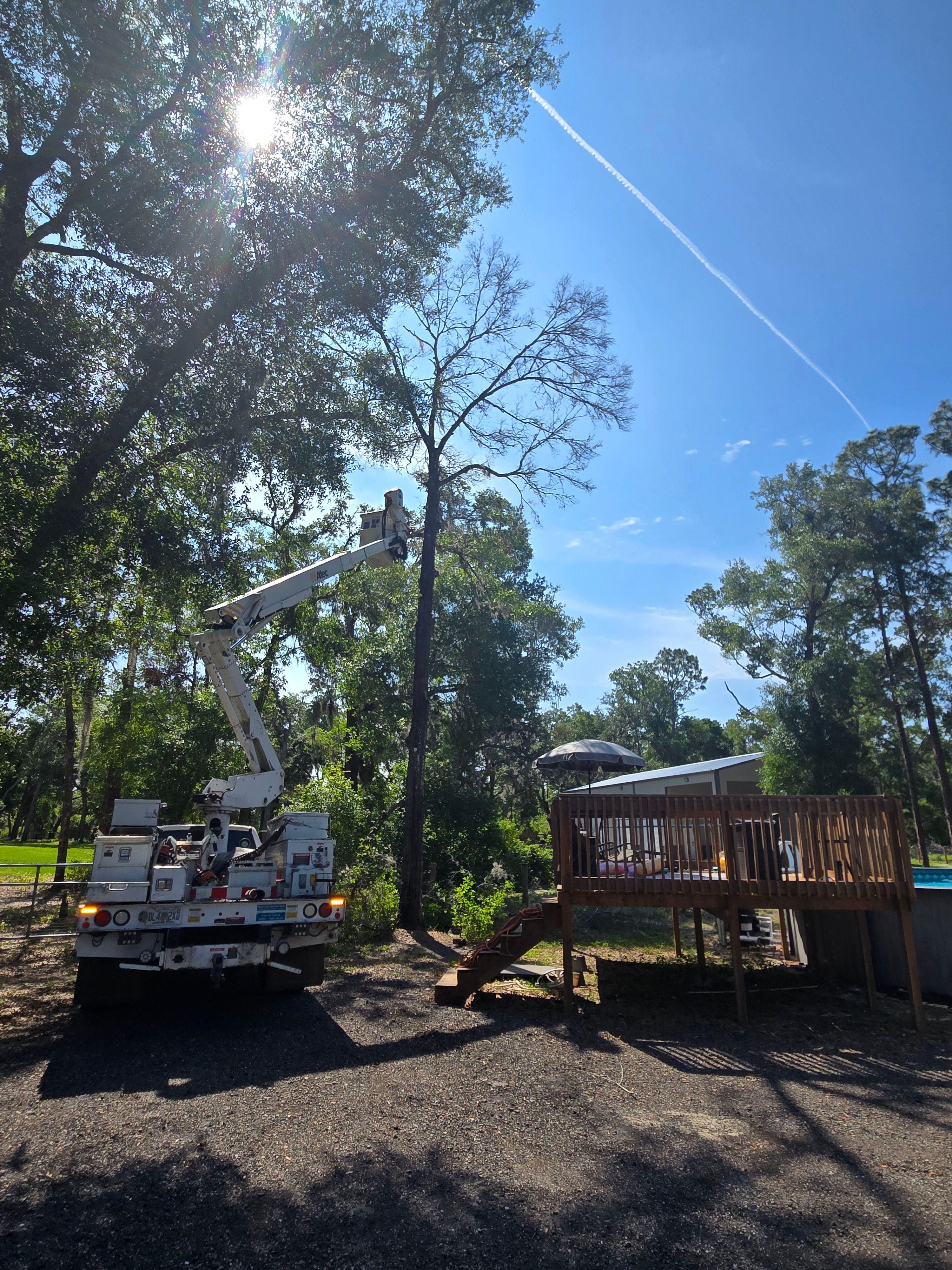 All Photos for Near Me Tree Service, Inc. in DeLand, FL