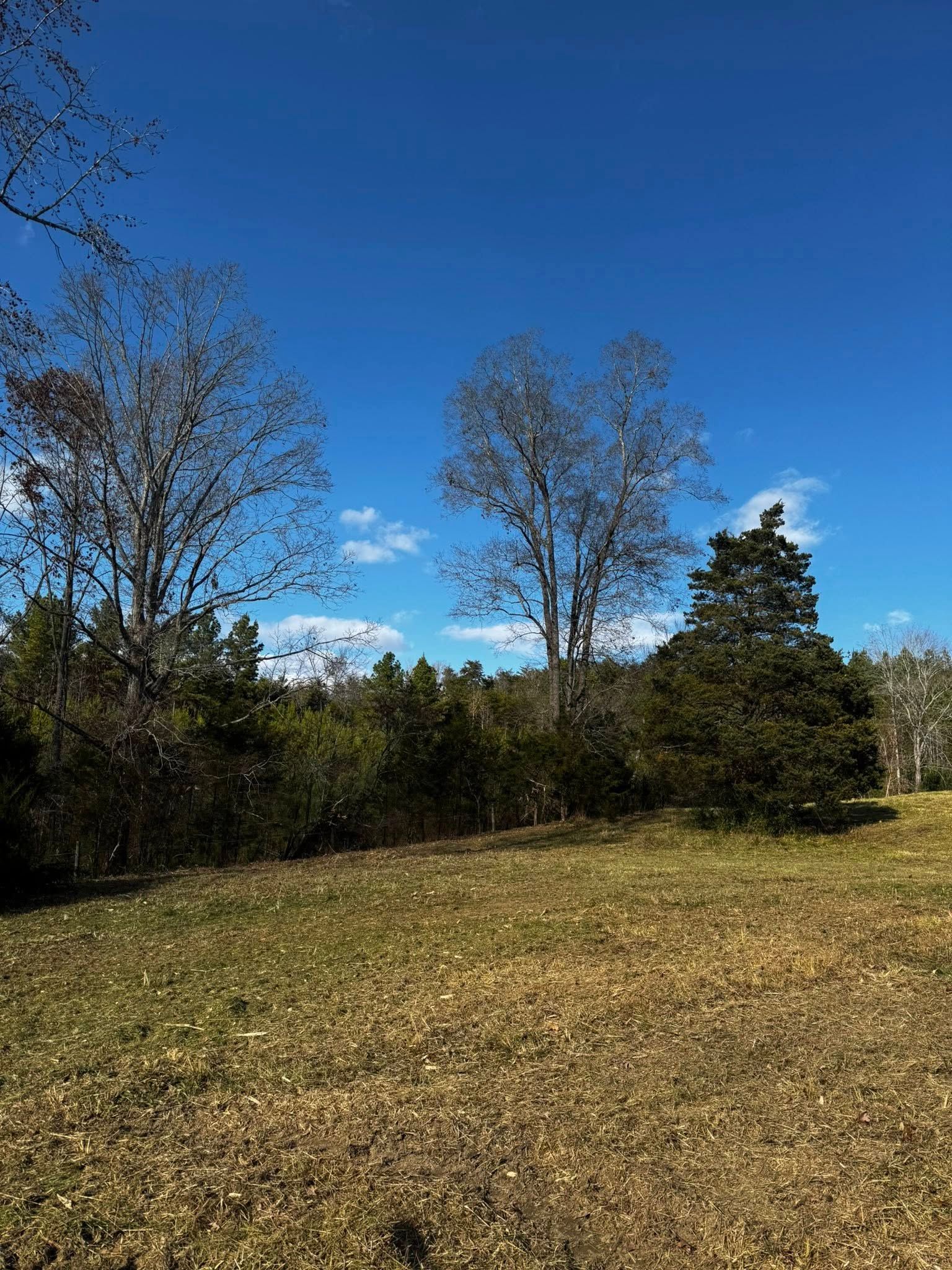 All Photos for Hunt’s Hauling & Landworks LLC in Danville, VA