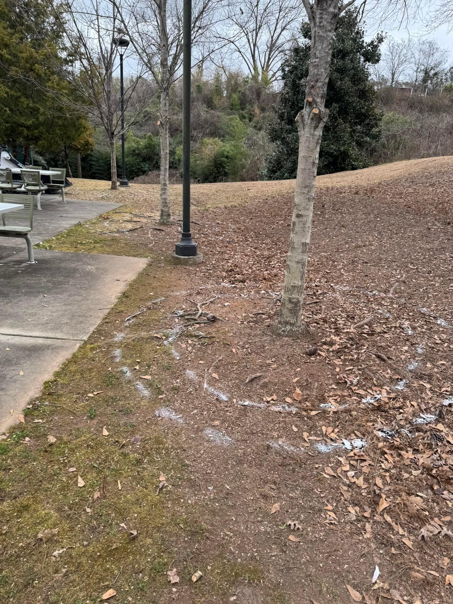  for Shang's Landscaping Service in Columbia, South Carolina