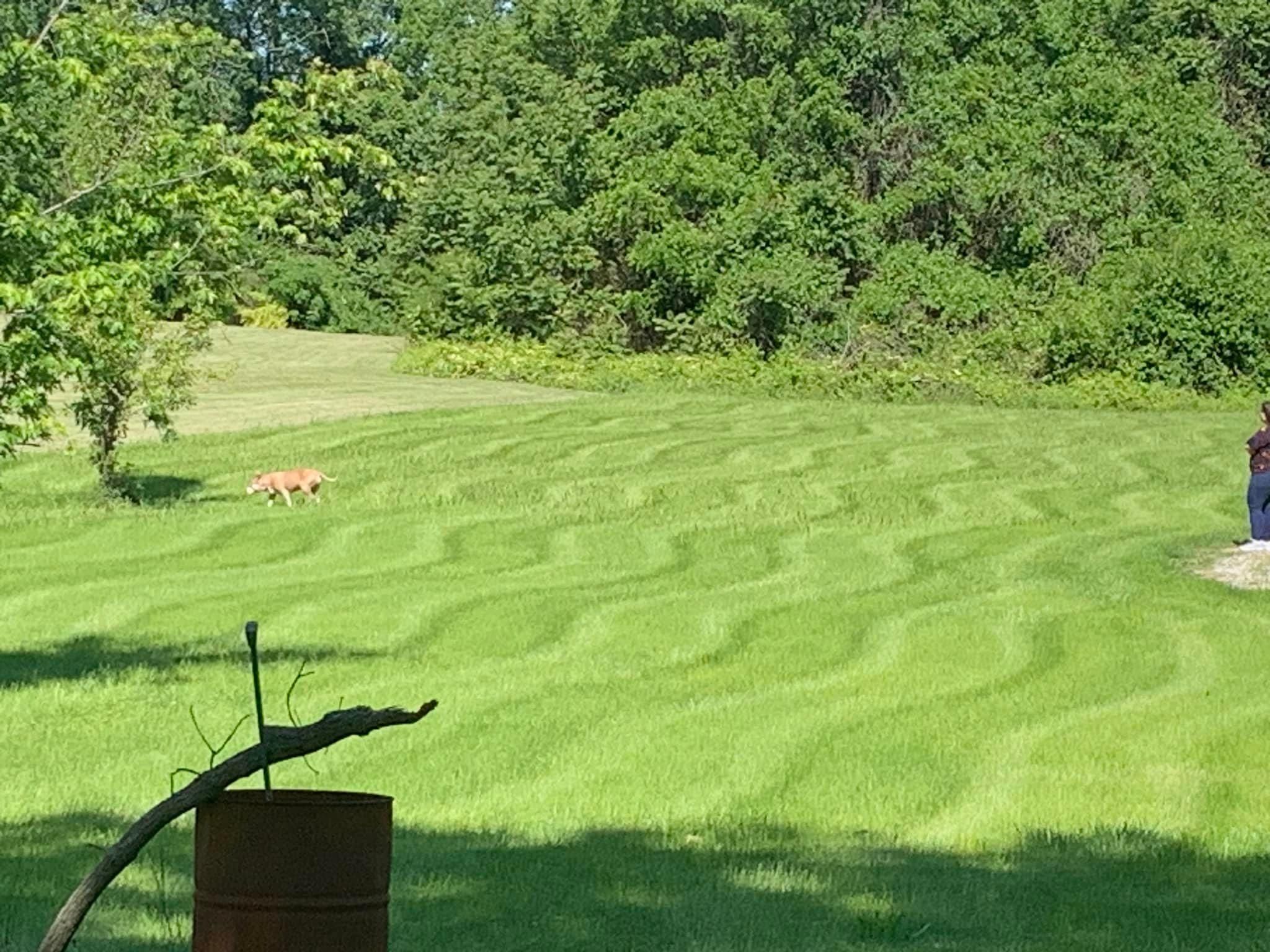  for Andrew's Lawn Service LLC in Lebanon, IL