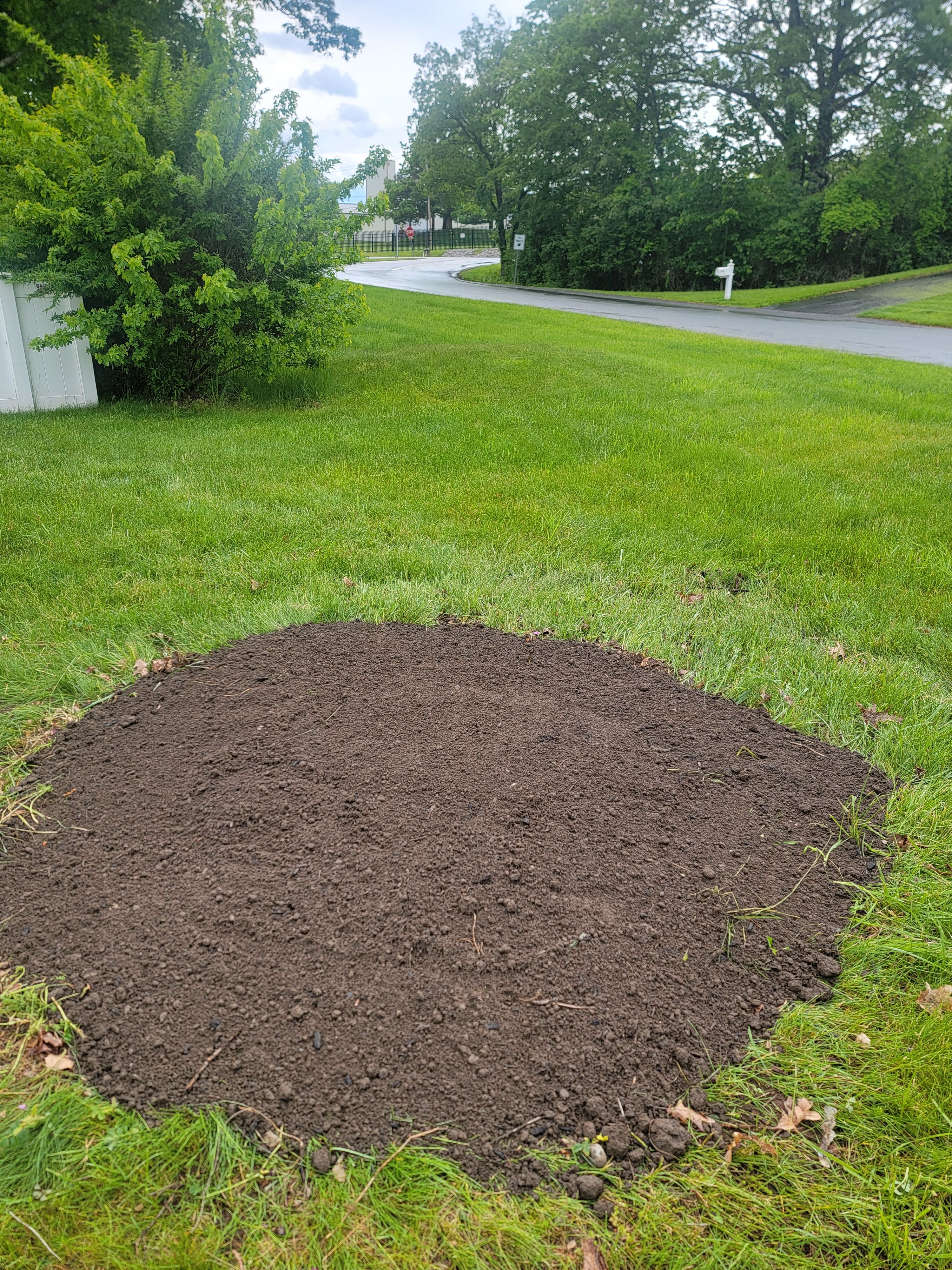  for Sweet Scapes in Ballston Spa, NY