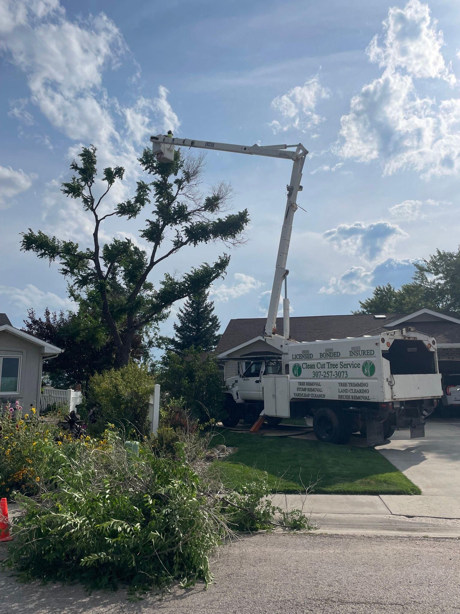  for Clean Cut Tree Service in Gillette, WY