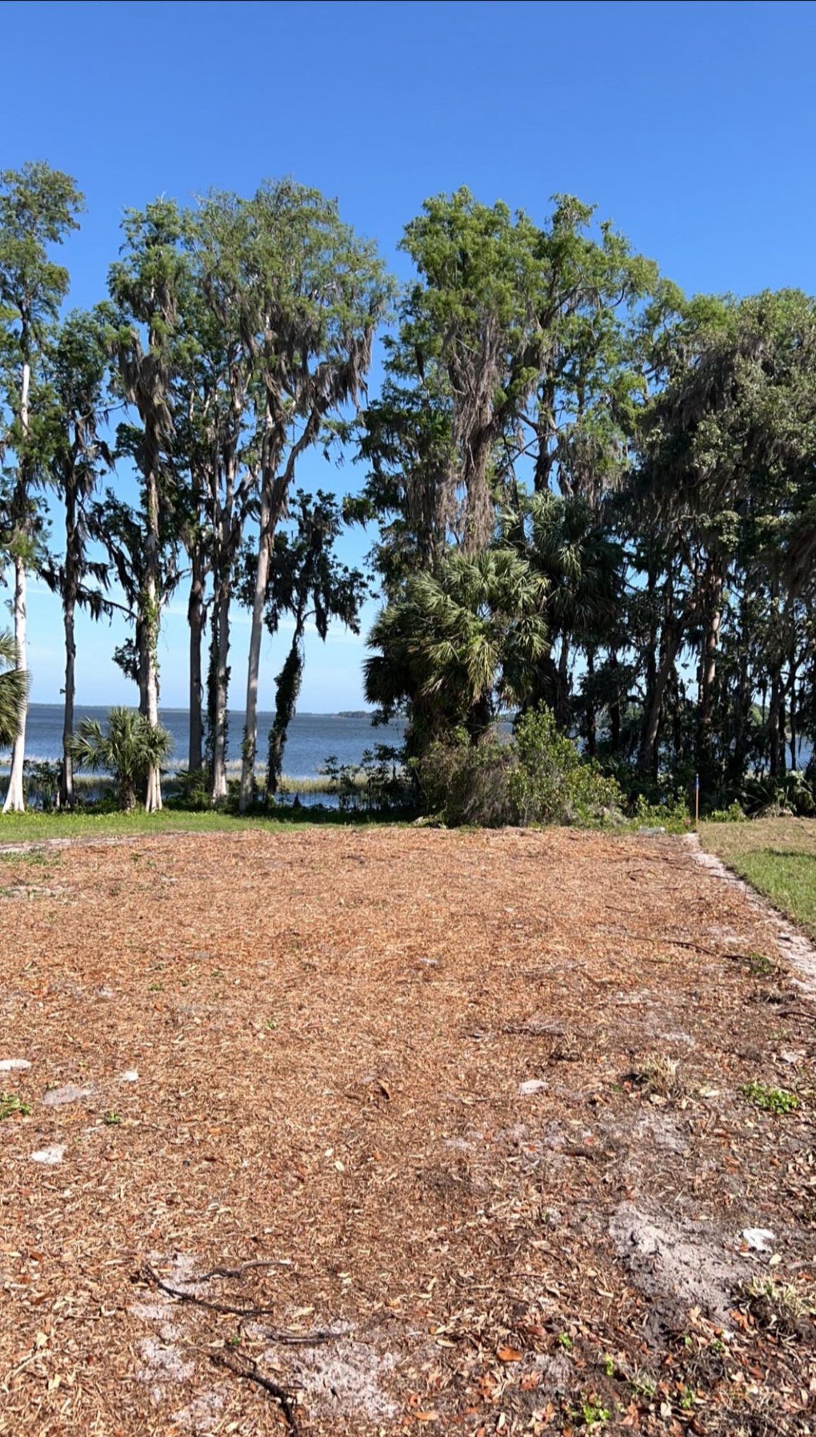 Tree Removal for A-1 Arbor Tech in Groveland, FL