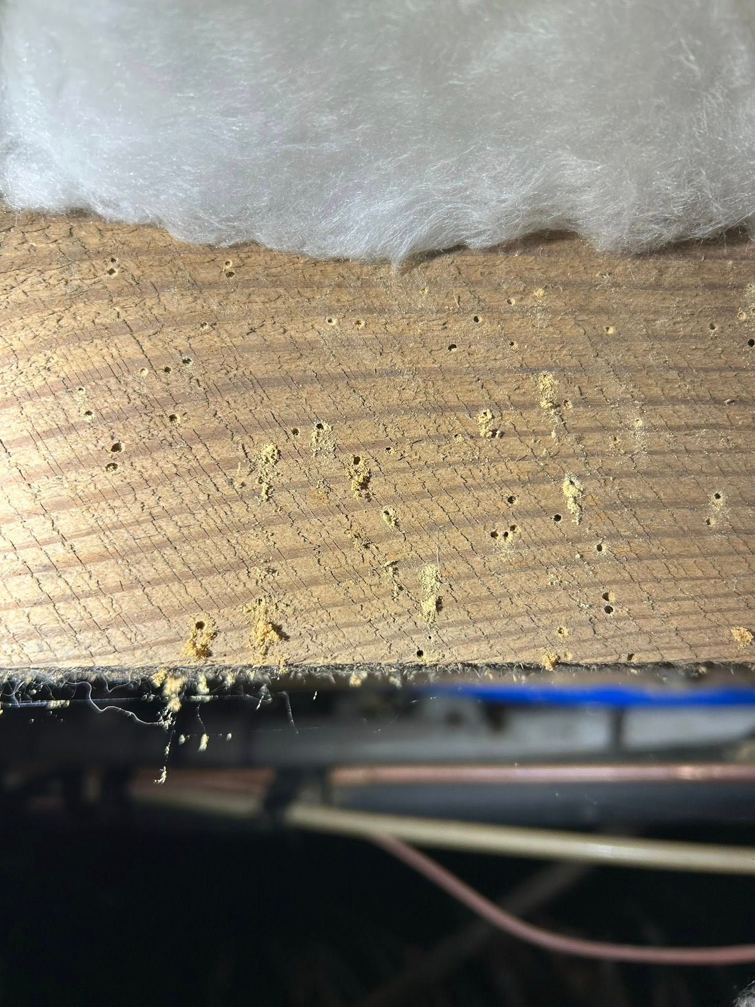  for Winecoff Pest Control in Salisbury, NC