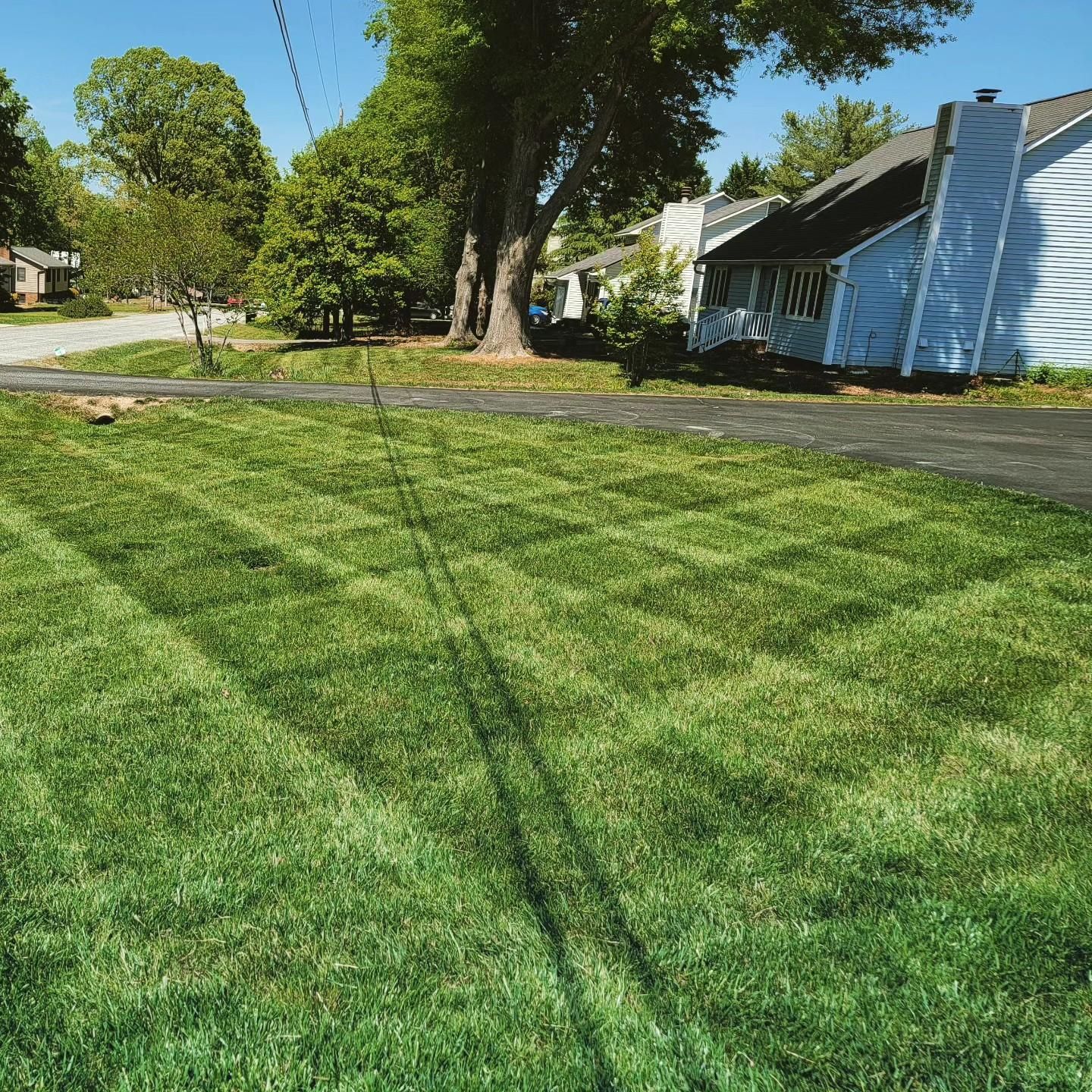  for Piedmont Lawn and Landscaping in Lexington, NC