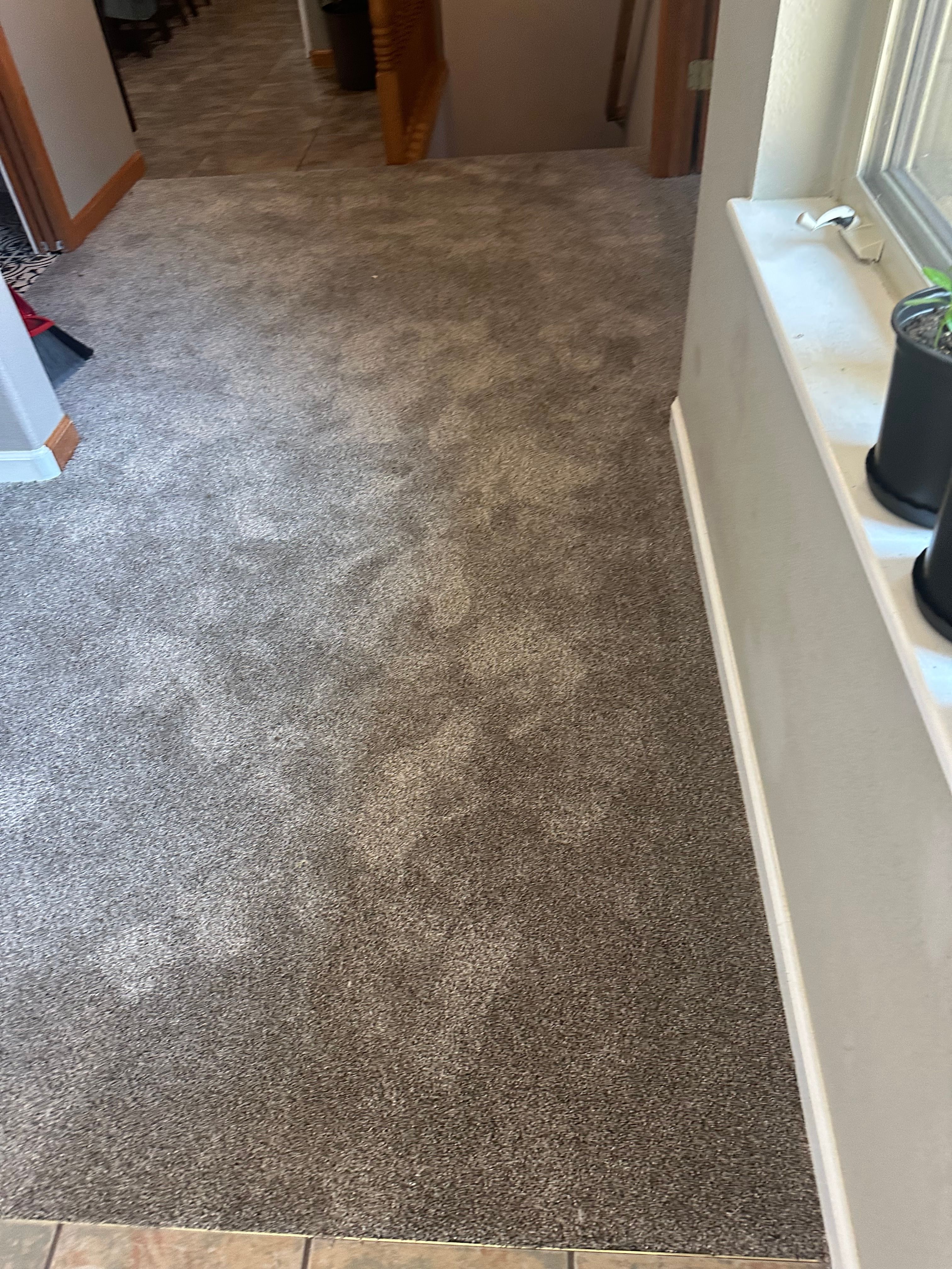  for Obed-Edom Construction in Broomfield County, CO