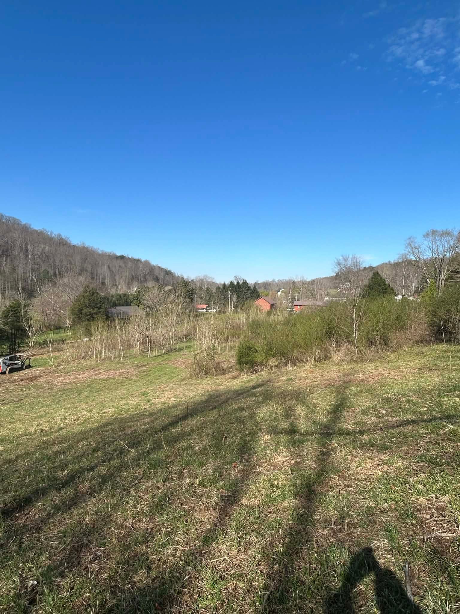  for Z's Land Management & Forestry Mulching in Smithville, TN