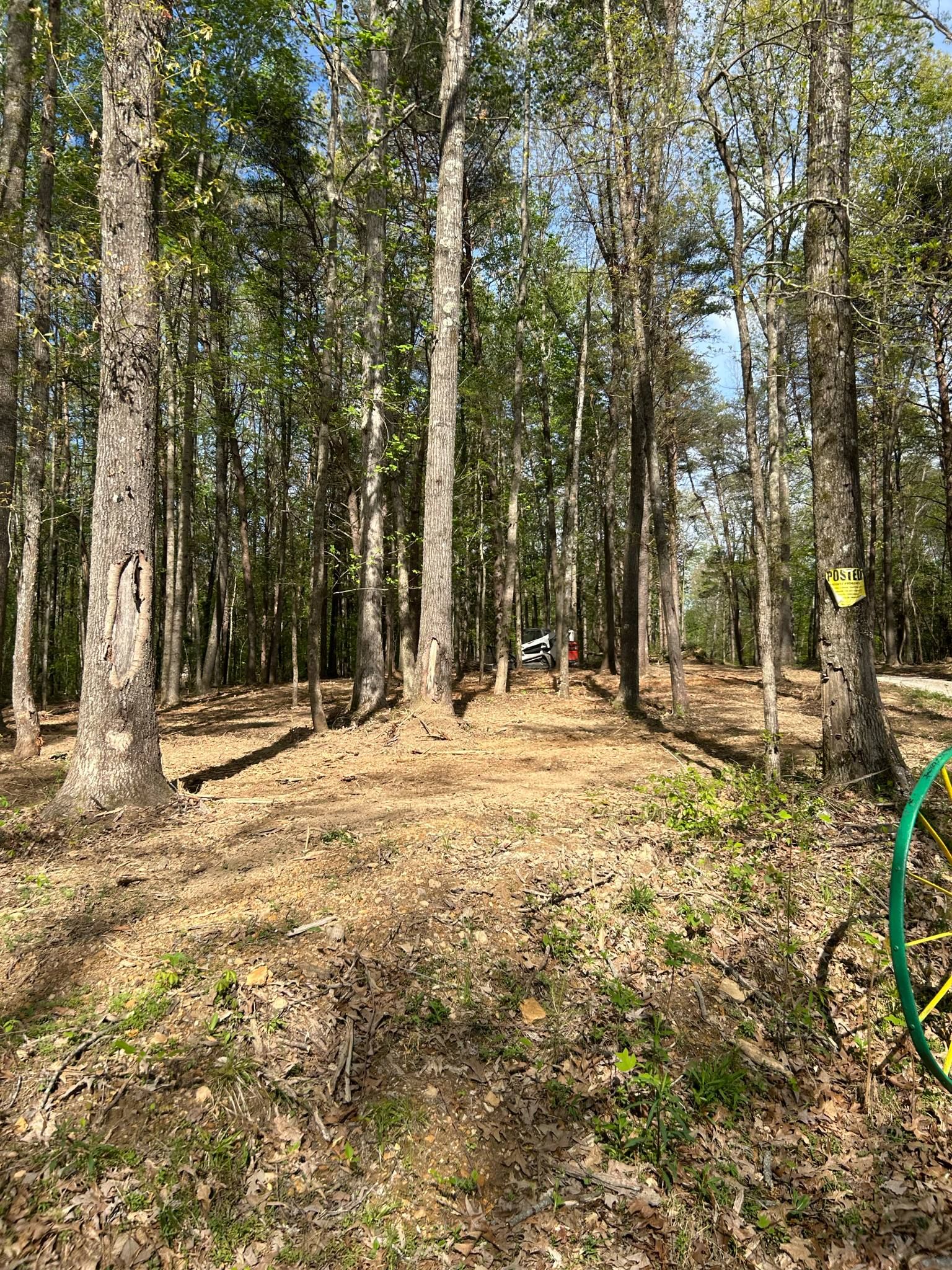  for Z's Land Management & Forestry Mulching in Smithville, TN