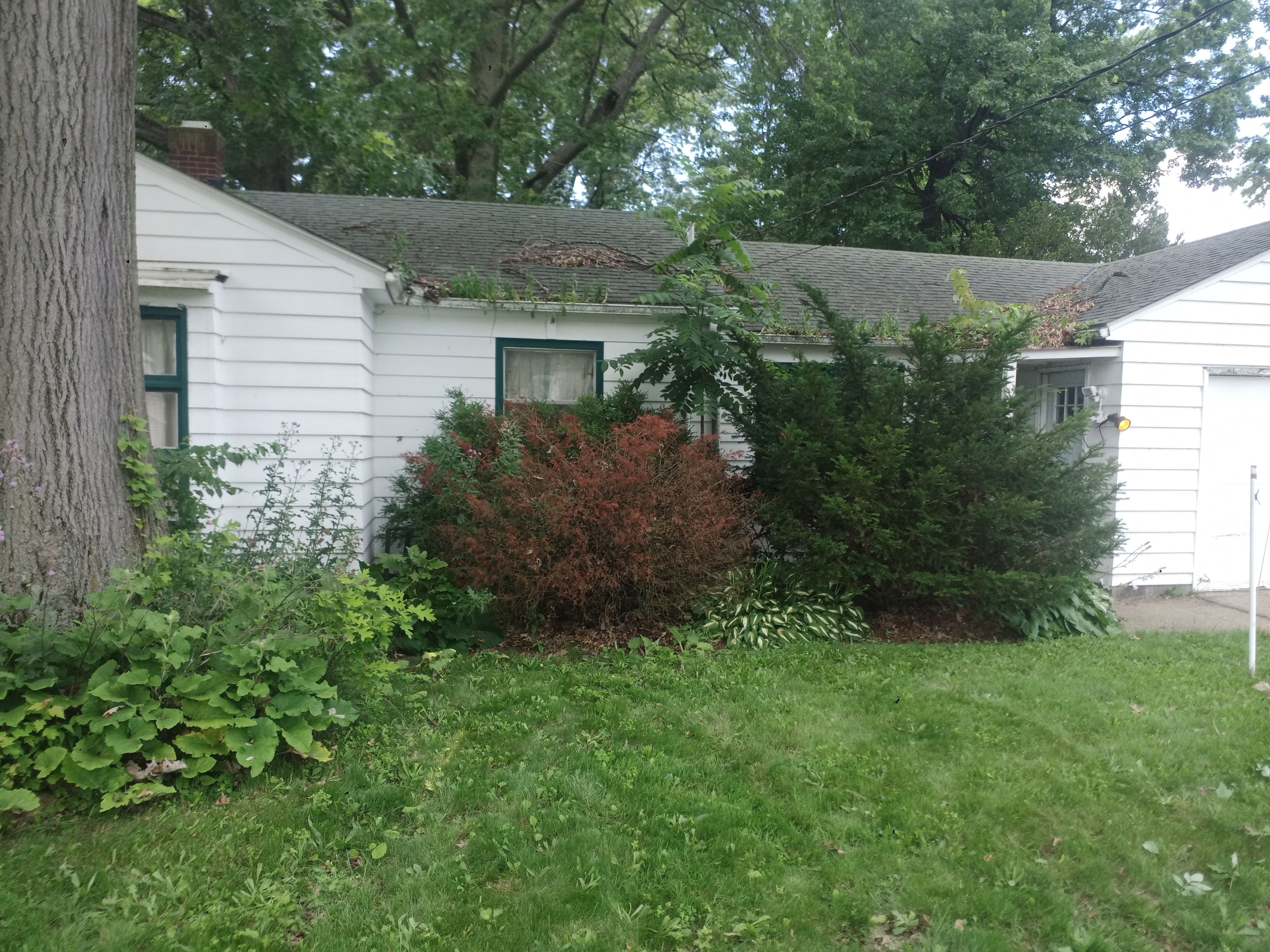 All Photos for Hendricks Mowing in Amherst, OH