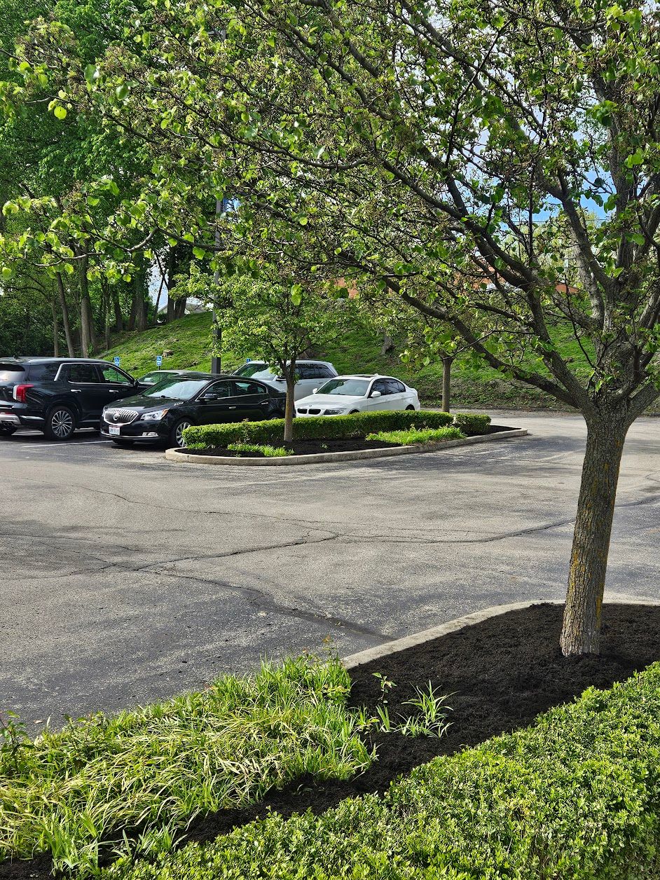  for Tel Ma Landscaping Maintenance LLC  in Urbana, OH