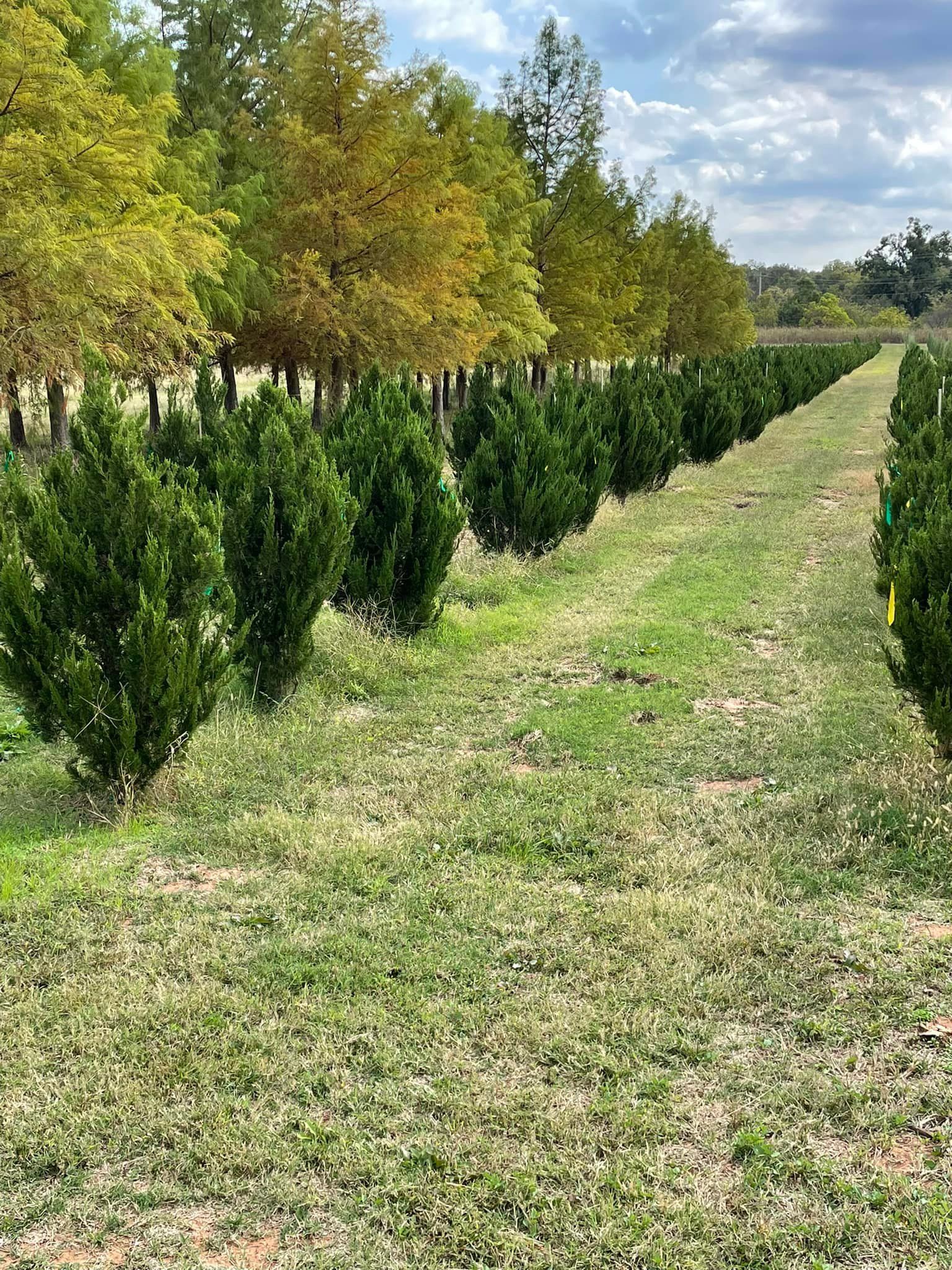  for R&J Hydromulch in Booker, TX