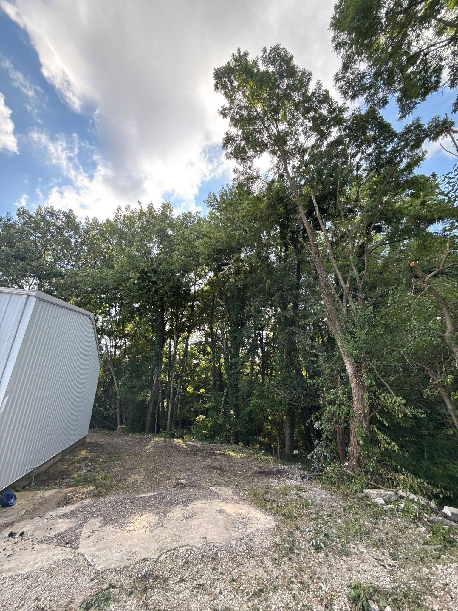  for Neace Construction in Indianapolis, IN