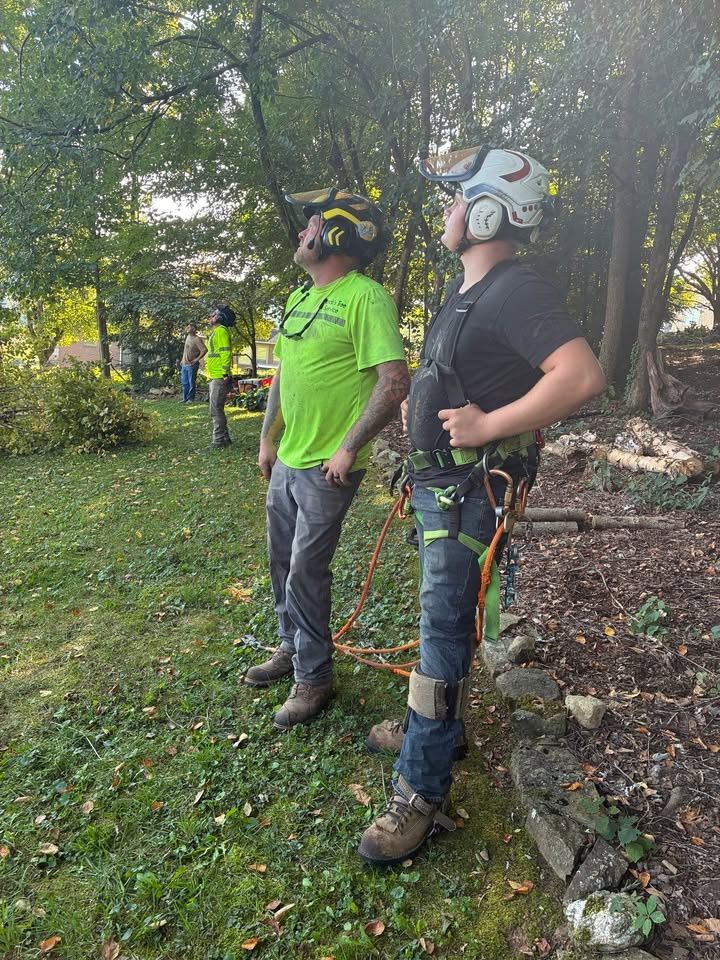  for Brocks Tree Service LLC in Rogersville, TN