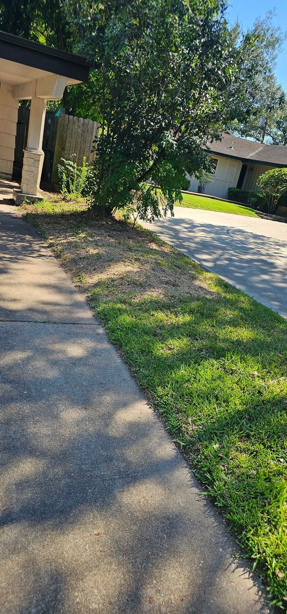  for Servin's Tree Care  in Houston, TX