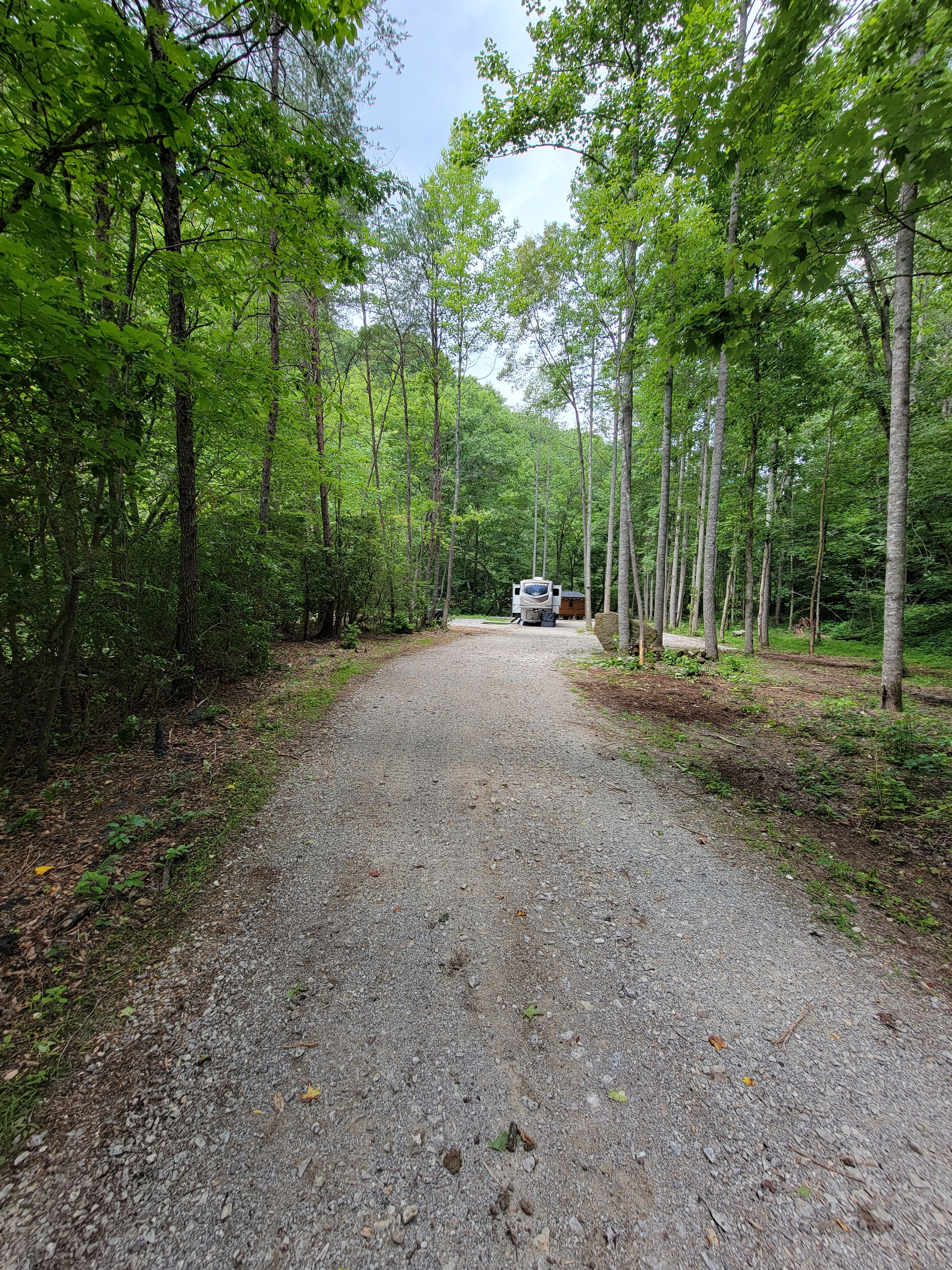  for Z's Land Management & Forestry Mulching in Smithville, TN