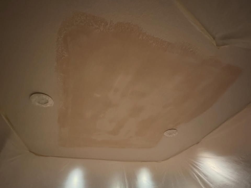  for Patch Pros LLC in Denver, CO