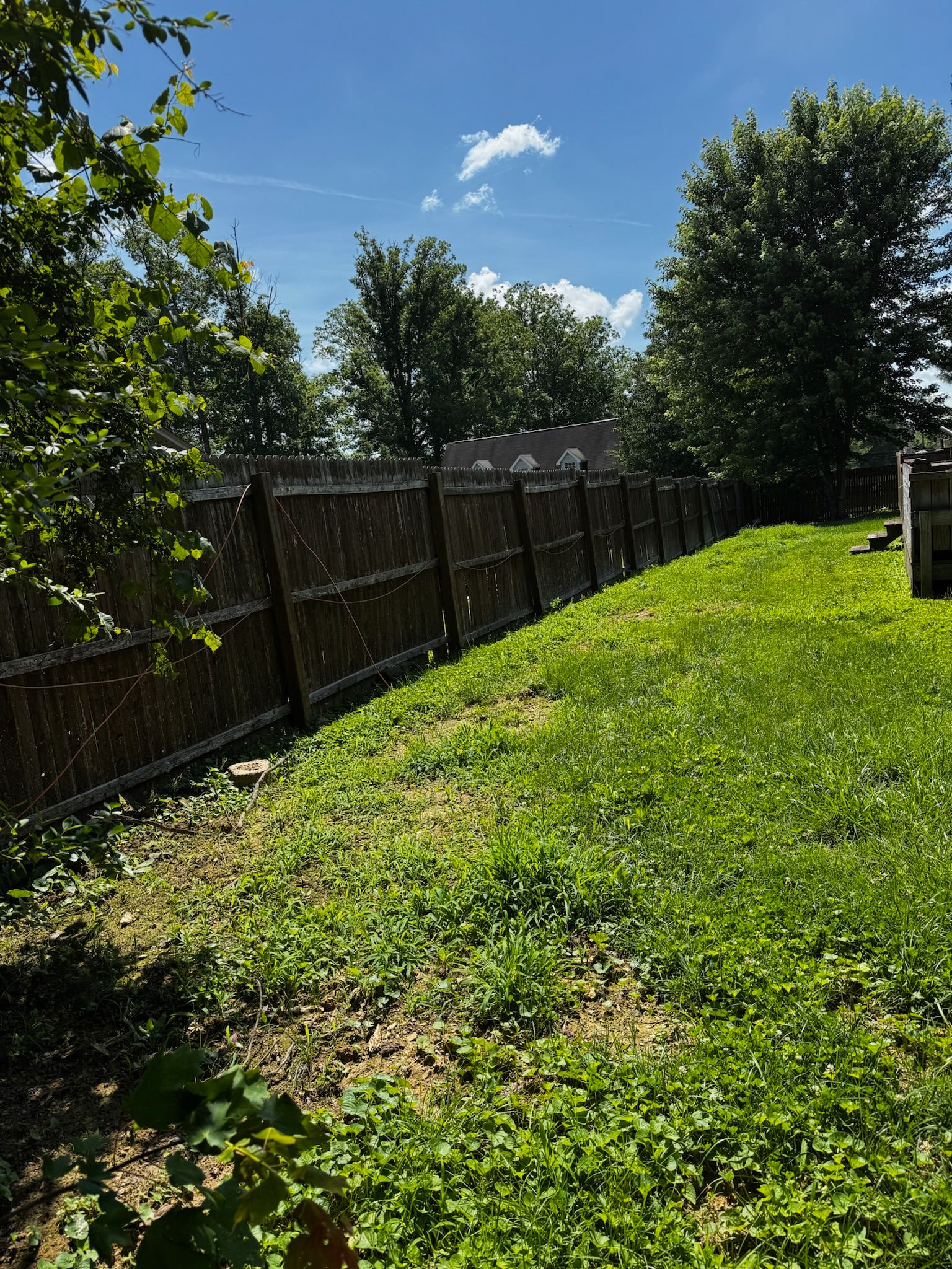  for Hale’s Hydroseeding in London, KY