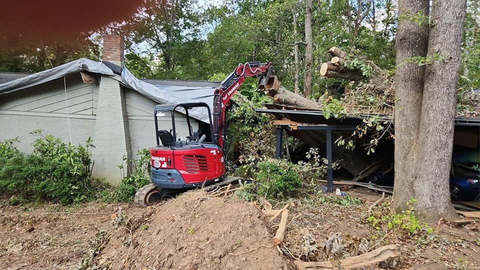 Tree Removal for Stumpbusters Tree Service in Louisa County, VA