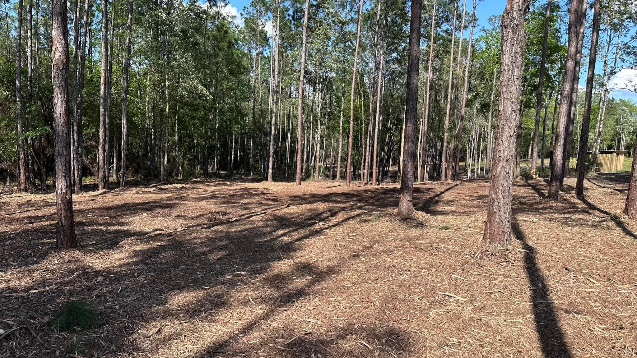 All Photos for White’s Land Maintenance in Milton,, FL