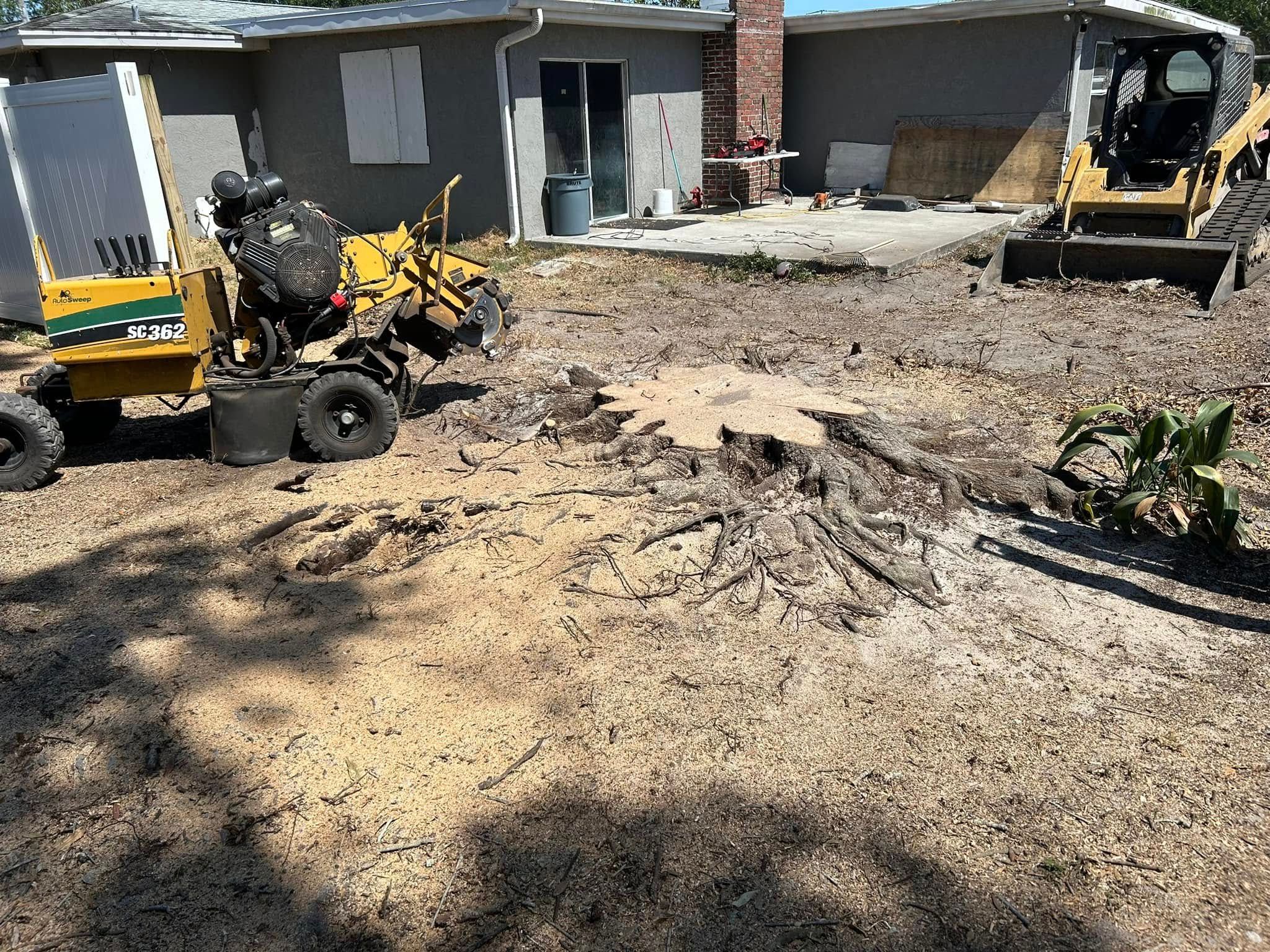  for Grizzly Stump Grinding in Sarasota, FL