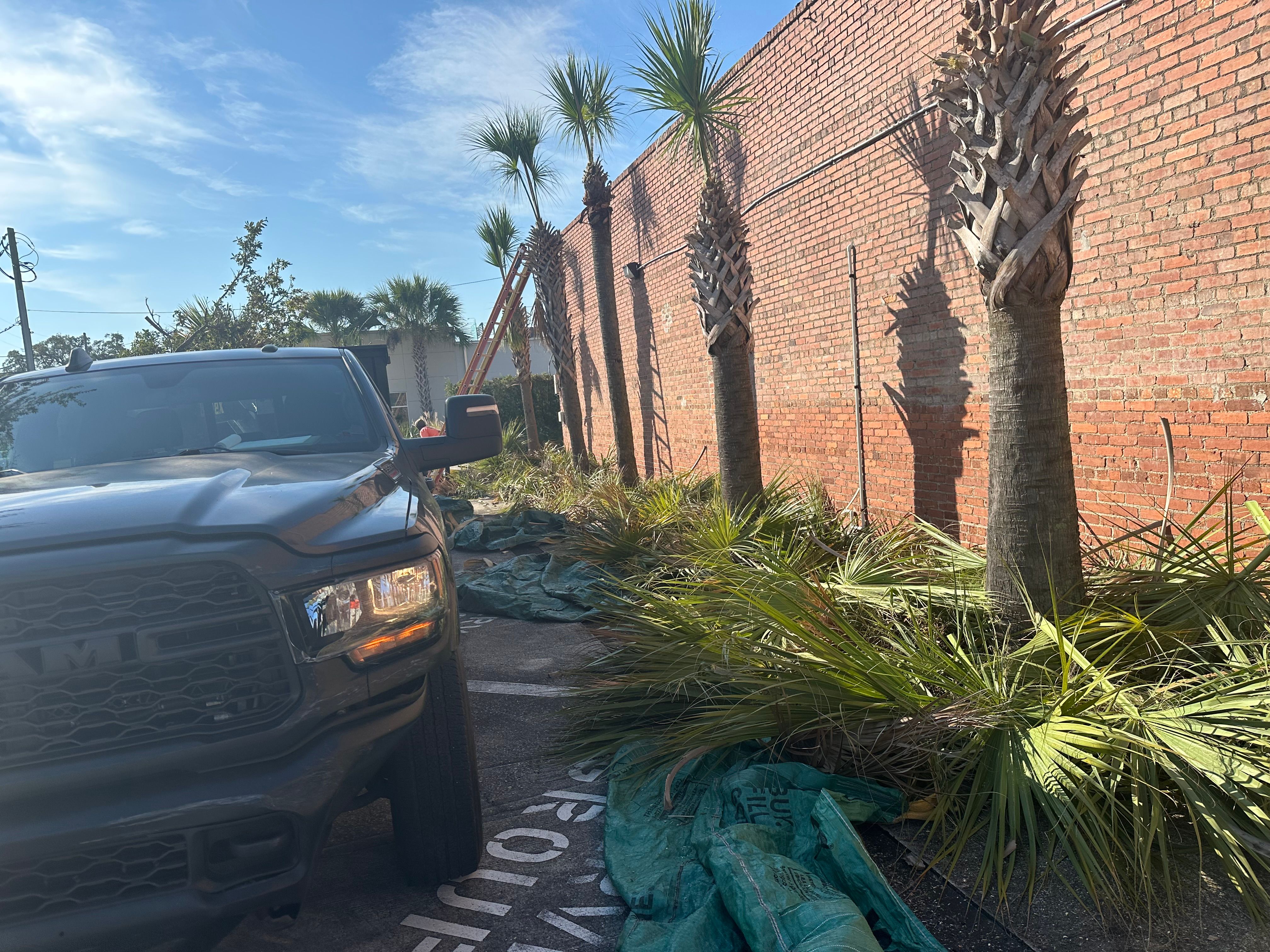 All Photos for All of the Above Landscaping in Orange Park, FL