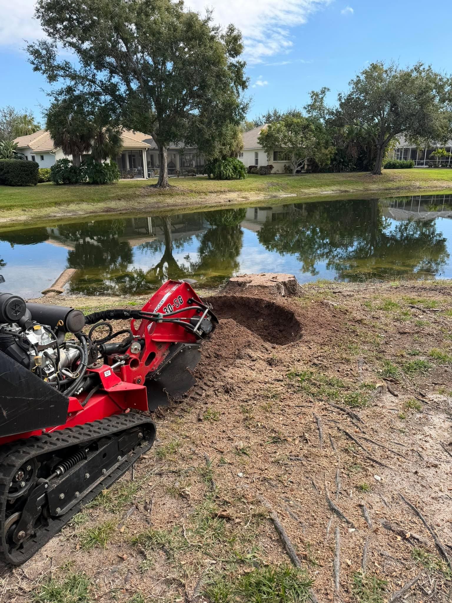  for Damian’s Tree Care in Sarasota, FL