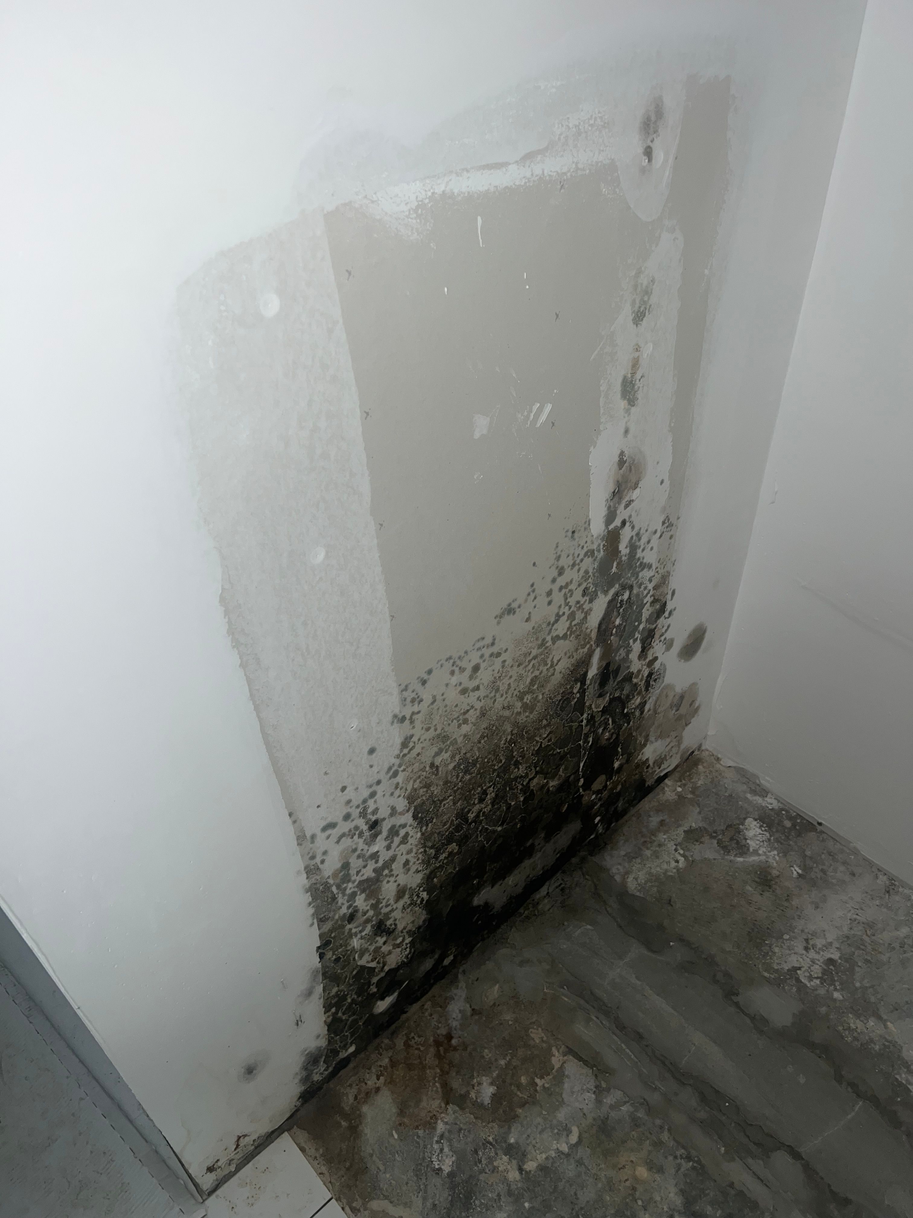  for N&D Restoration Services When Disaster Strikes, We Come In in Cape Coral,  FL