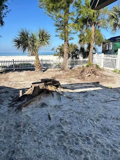  for KB’s Stump Removal in Seminole, FL