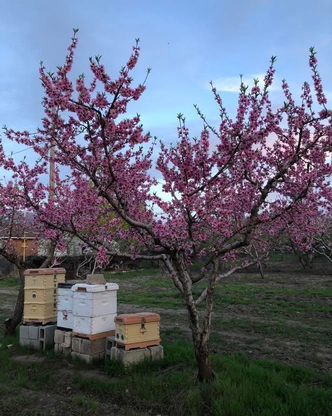  for Duncan Yard Services in Bountiful, UT