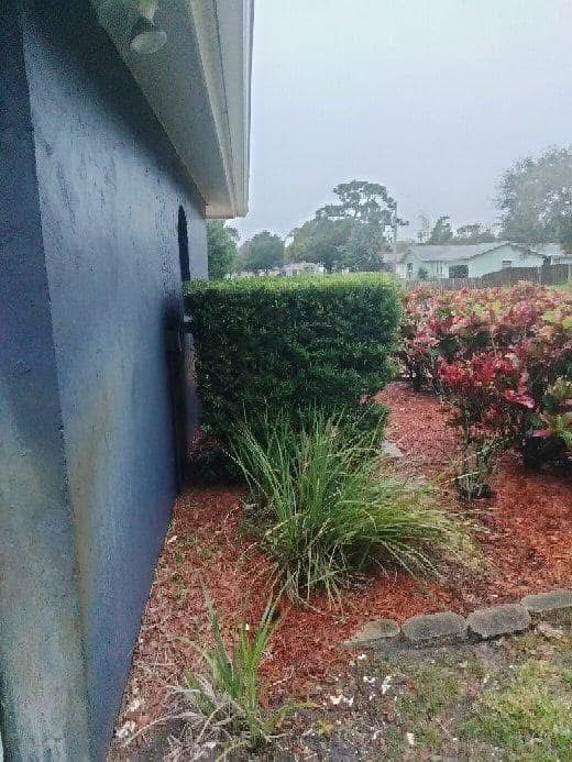  for Space Coast Property Maintenance and Management LLC in Melbourne, FL