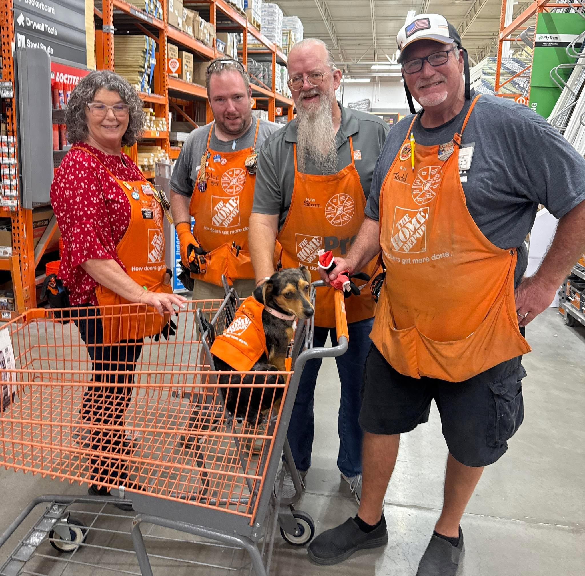 All Photos for DelliQuadri Landscapes LLC in North Port, FL