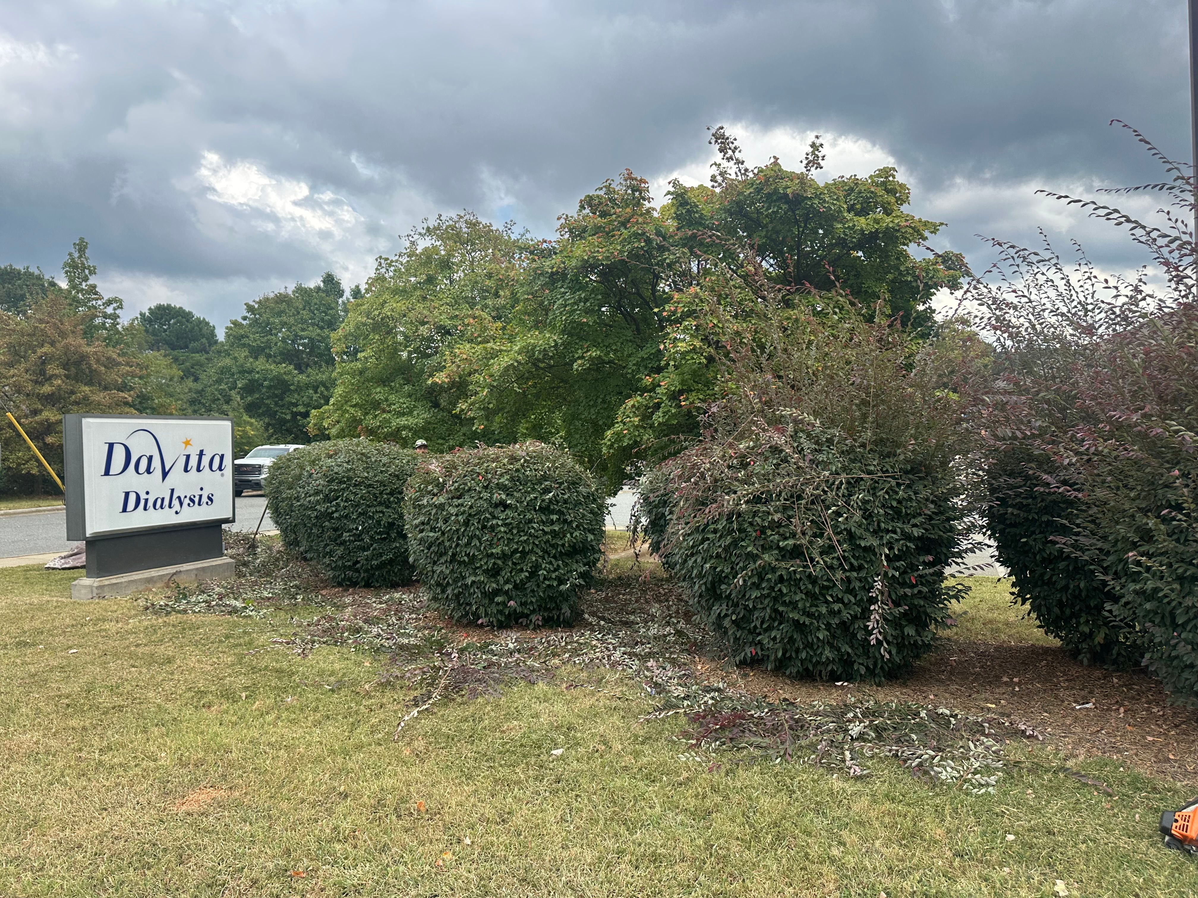  for Pecina Pine Needles in Monroe, NC