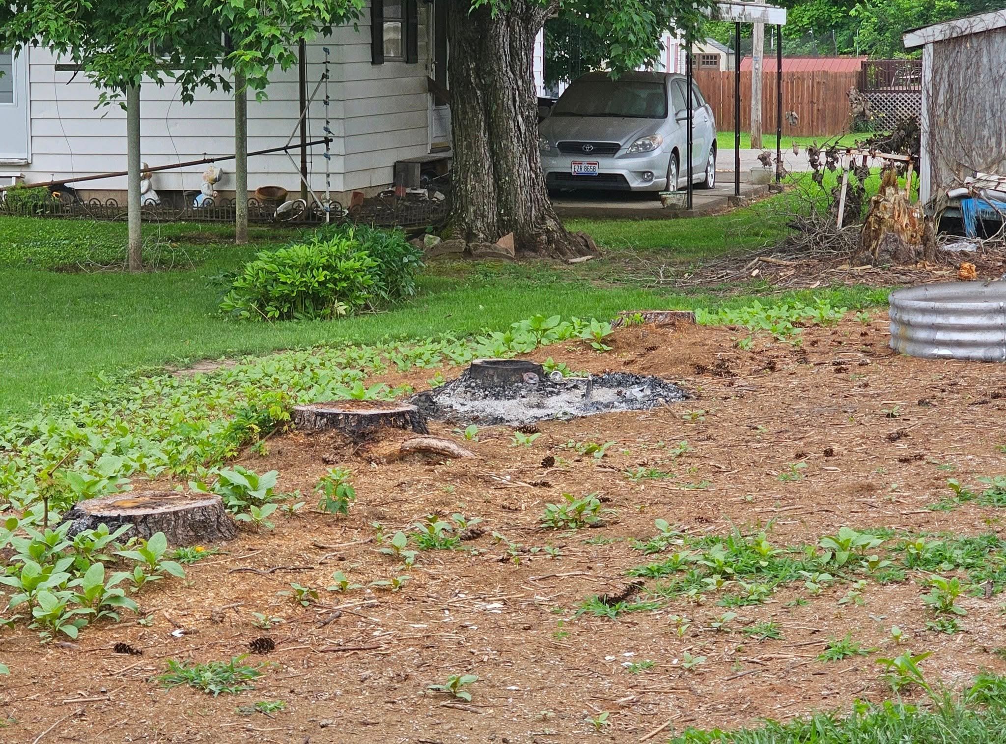  for I and R Stump Grinding in Thornville, OH