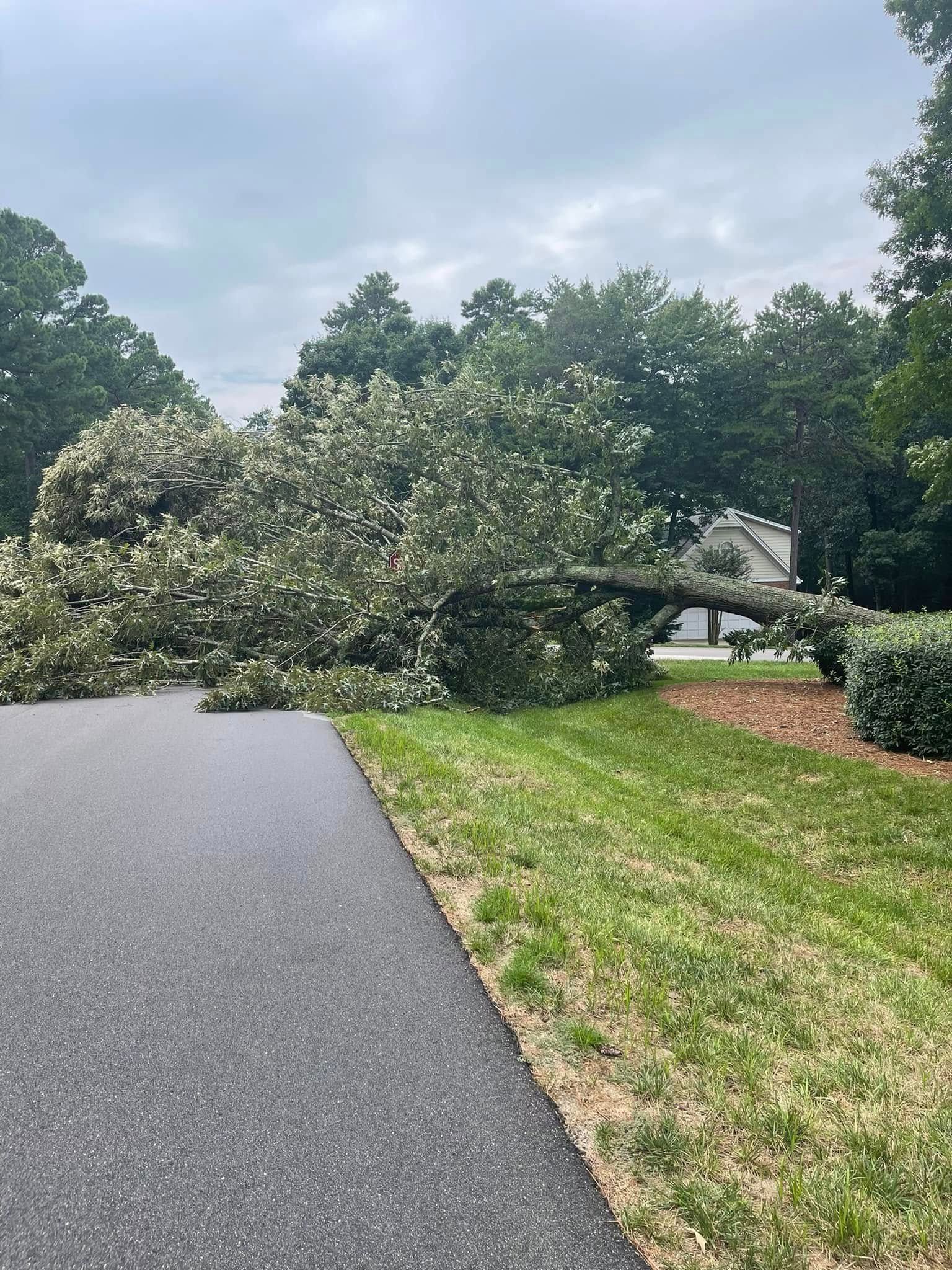  for J&J Tree Services in Raleigh, NC