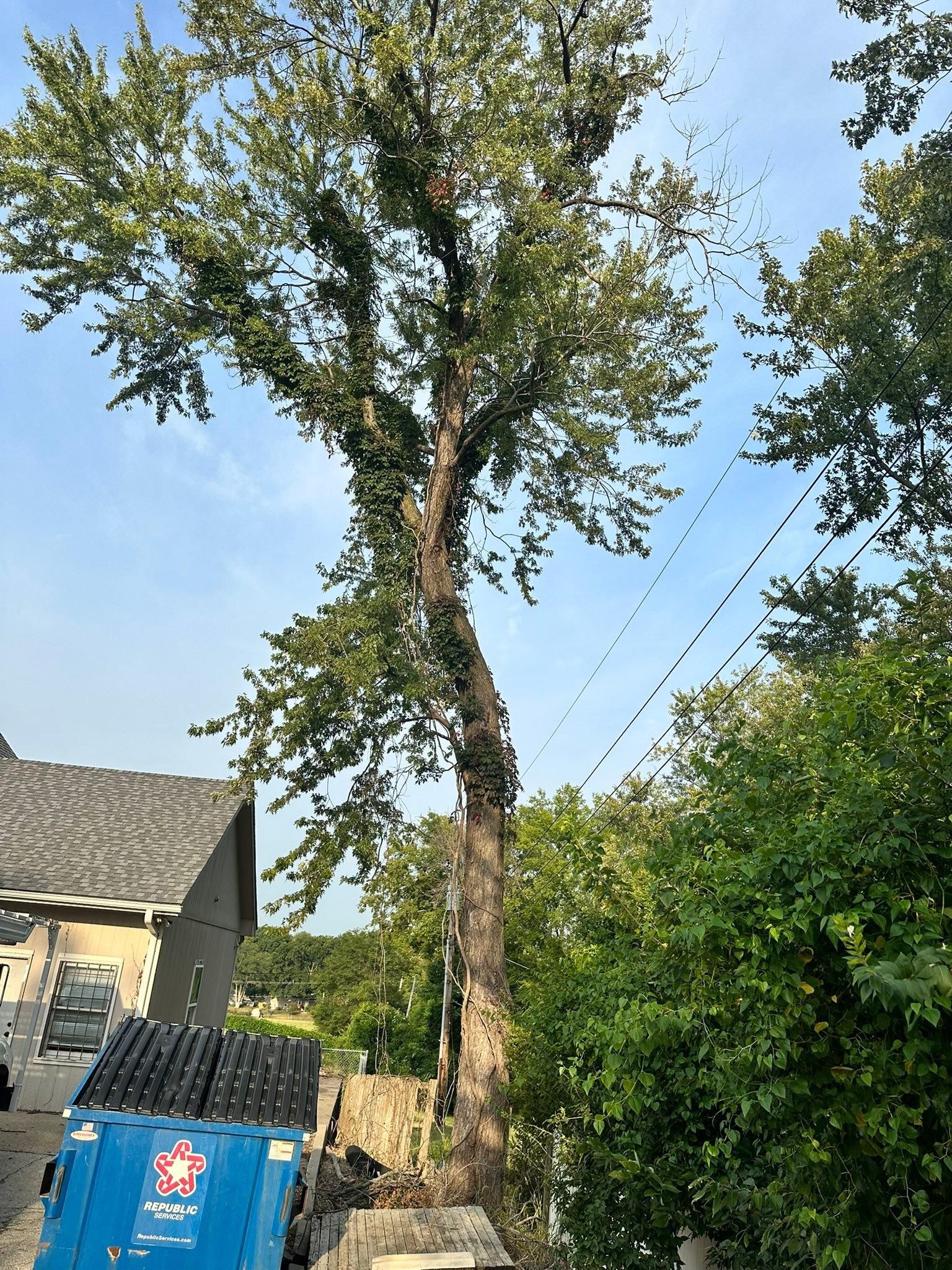 All Photos for Cross Family Tree Service in Kearney, MO
