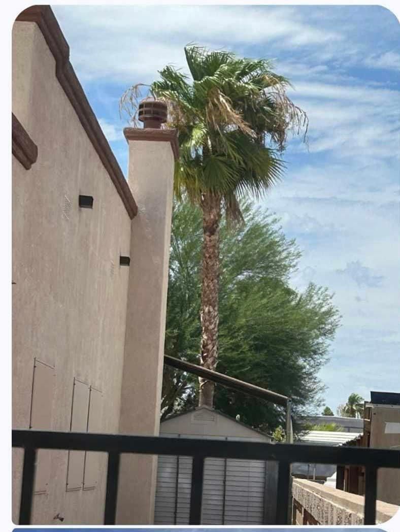  for Oliver L. Palm & Tree services in Yuma County, AZ