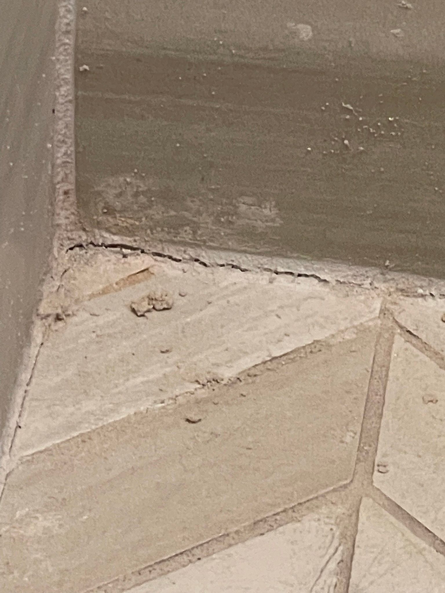  for Tony's Remodeling & Painting in Renton, WA