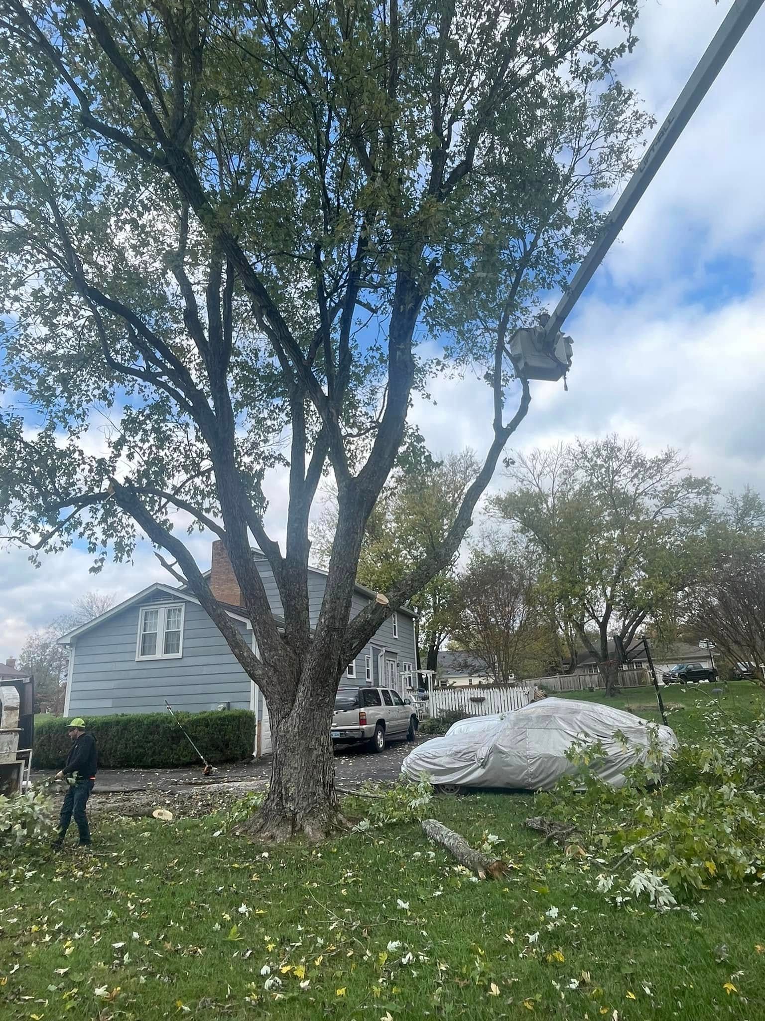  for Jace’s Tree & Stump Removal in Franklin, TN