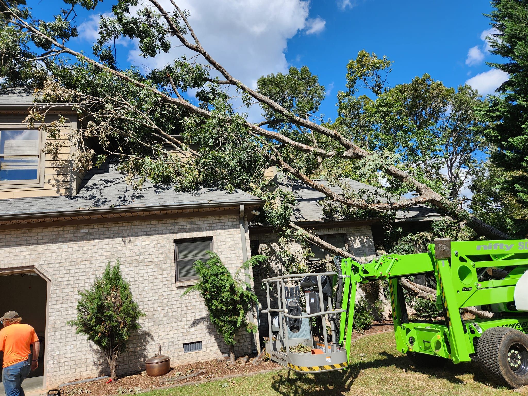 All Photos for Stumpbusters Tree Service in Louisa County, VA