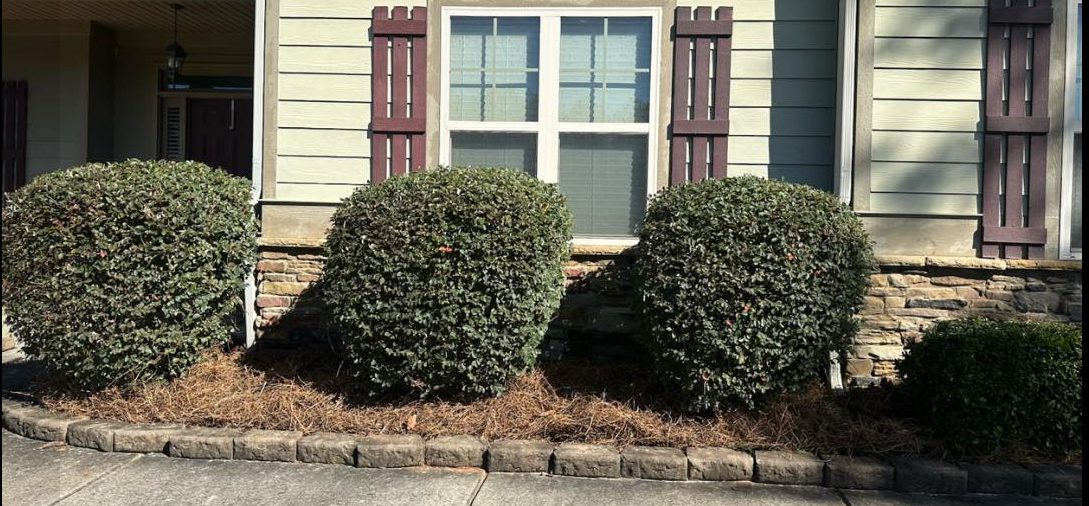  for Hedgecraft Landscaping LLC in Senoia, GA