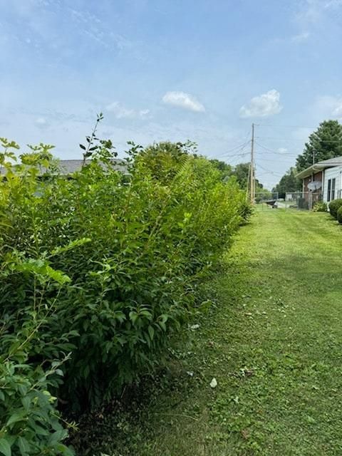 All Photos for Tingley's Green Land Services in Springfield, Ohio