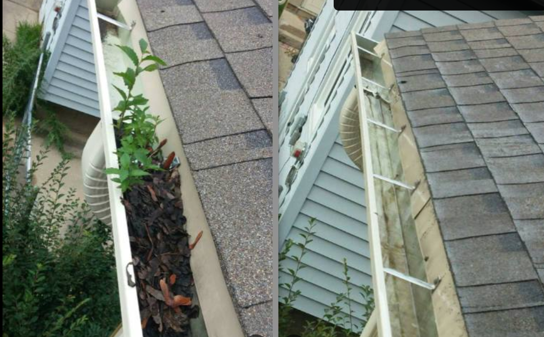 Exterior Repairs for Parker Property Manage in , 